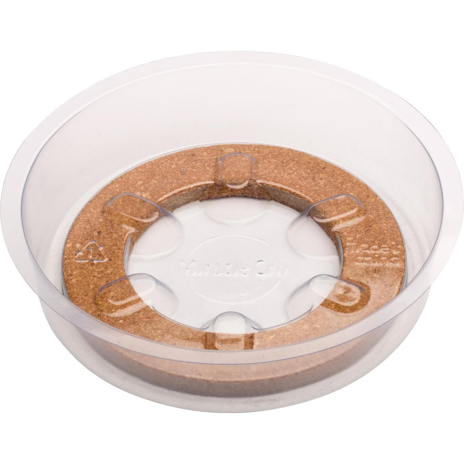 Miracle-Gro 6" Hybrid Saucer