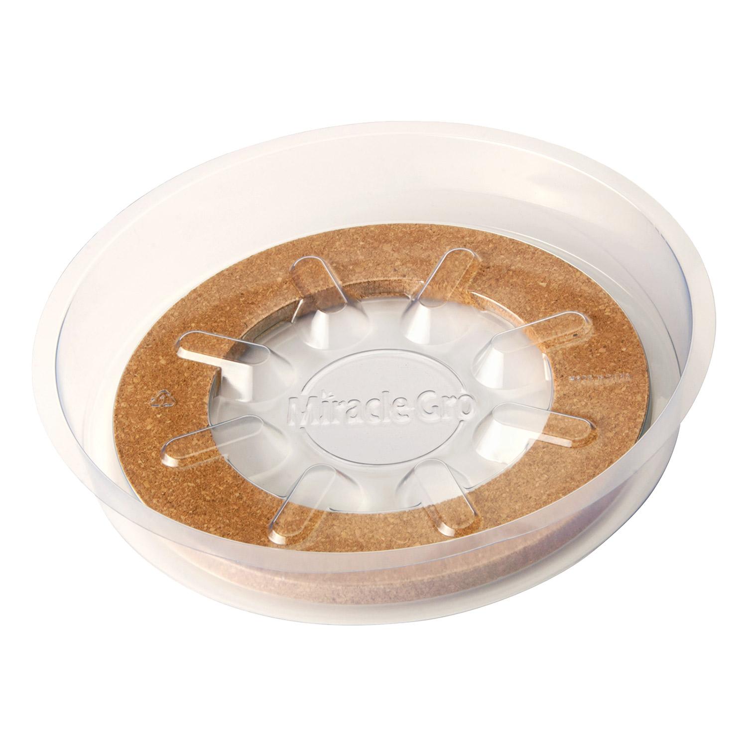 Miracle-Gro 8" Hybrid Saucer