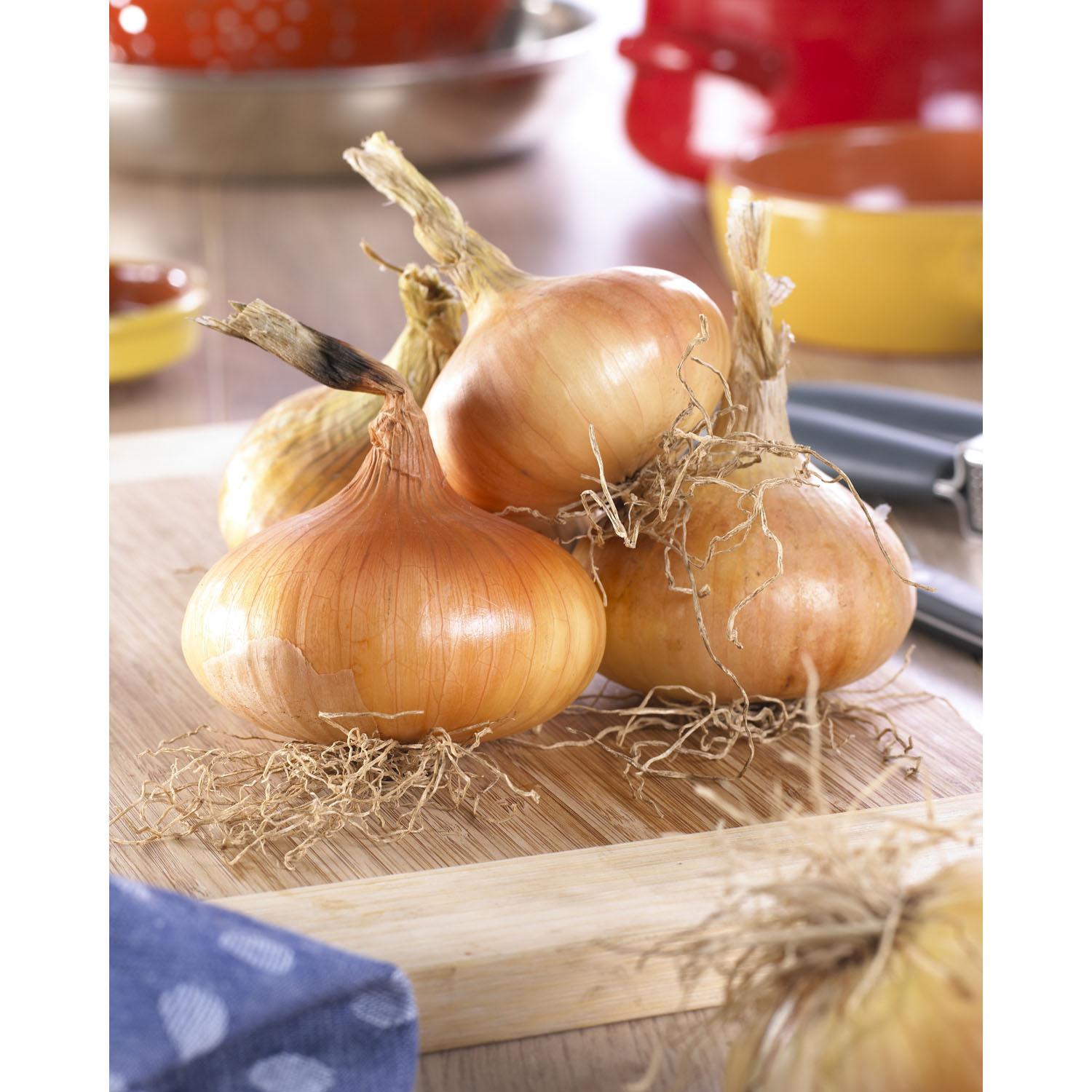 Stuttgarter Onions