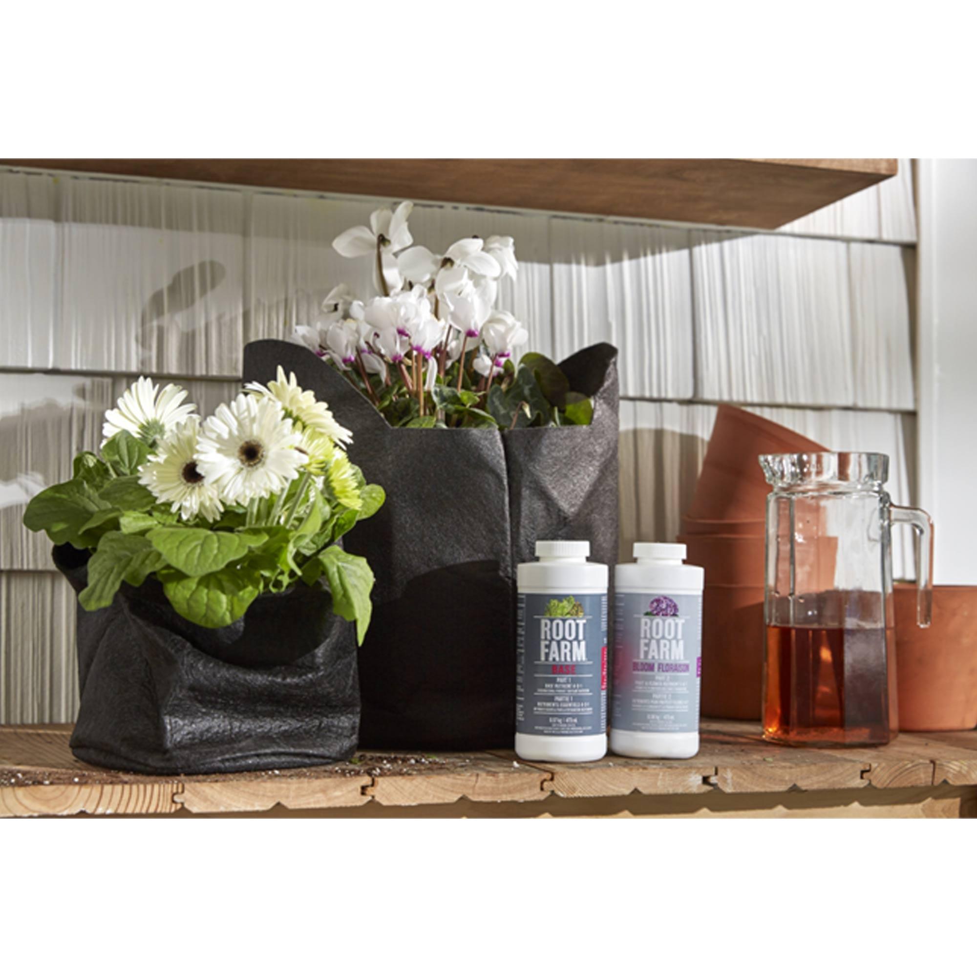 Part 2 Fruit and Flower Nutrient 473 ml