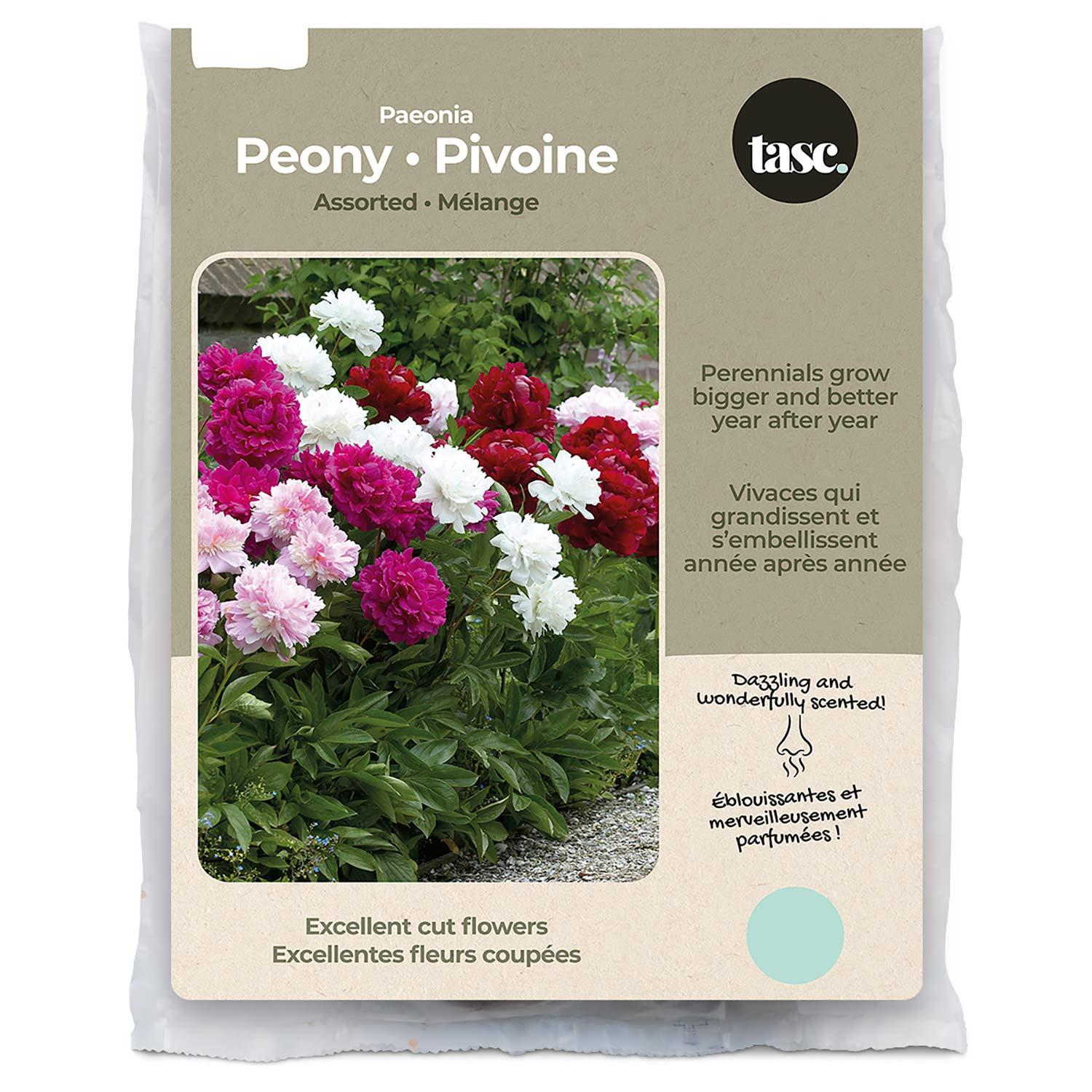Paeonias assortis