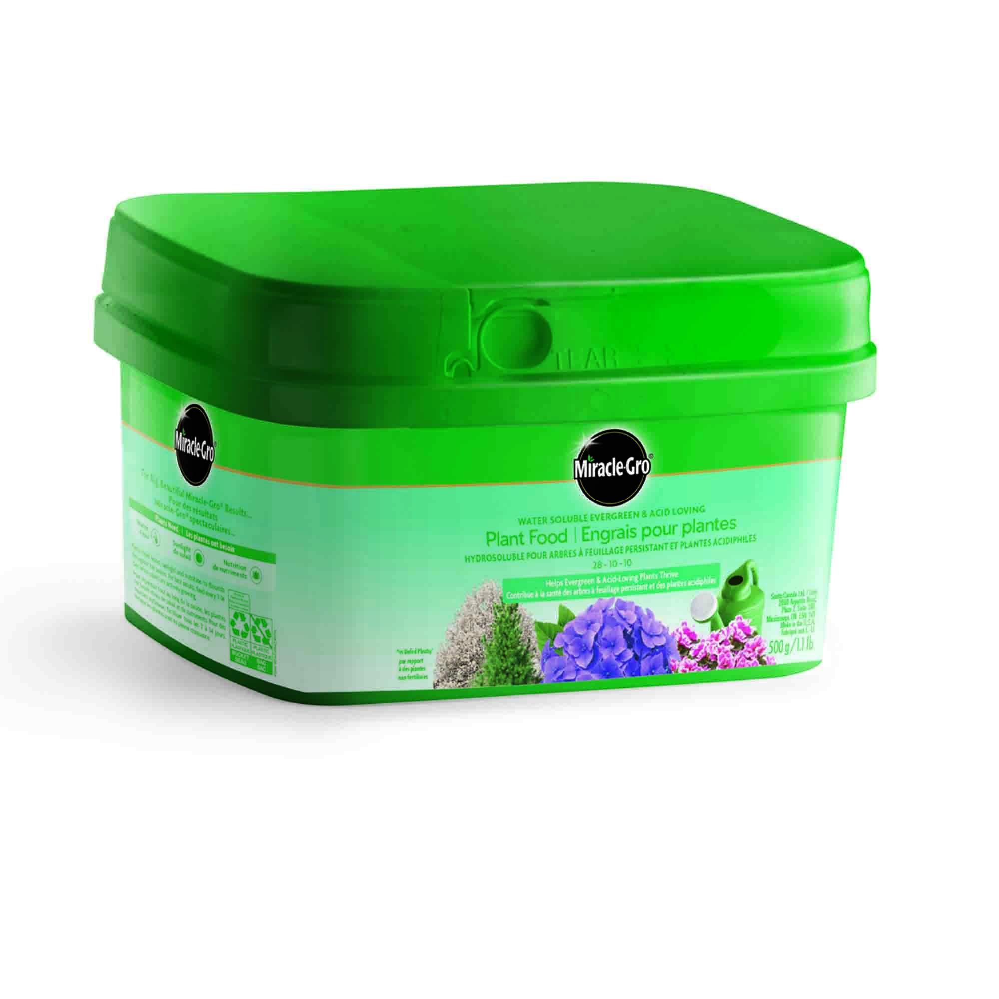 Water Soluble Evergreen And Acid-loving 500 g