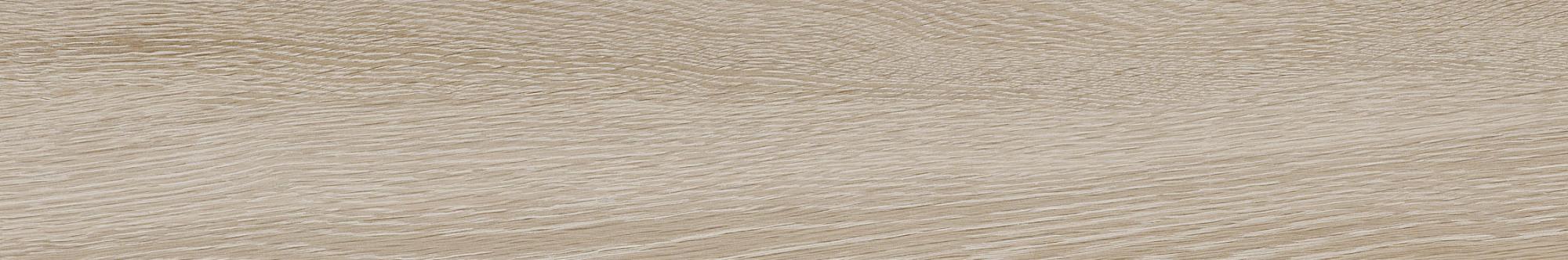Tuile porcelaine h définition 4 x 24 po bouleau papier Aspen