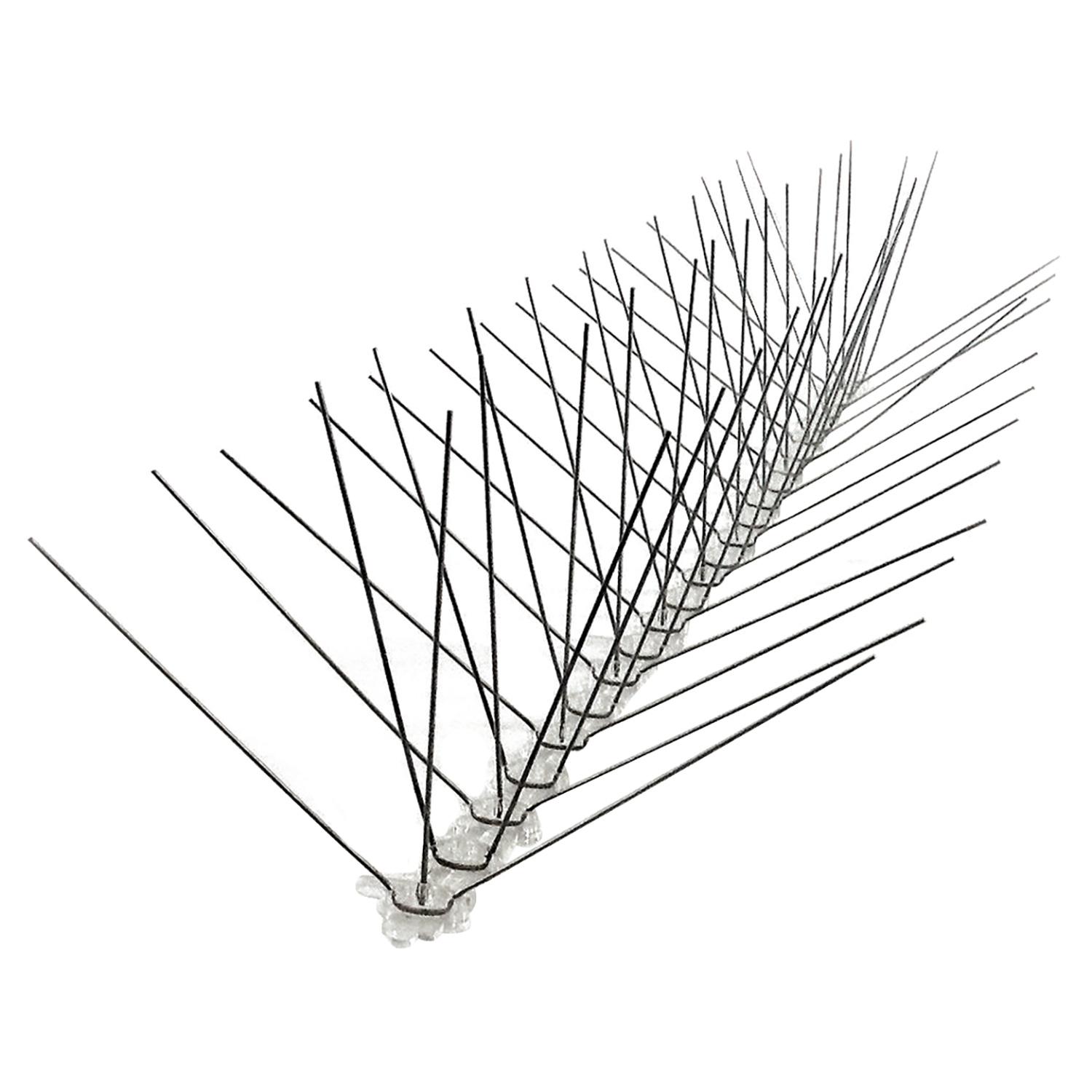 Stainless Steel Bird Spikes Wide 100'