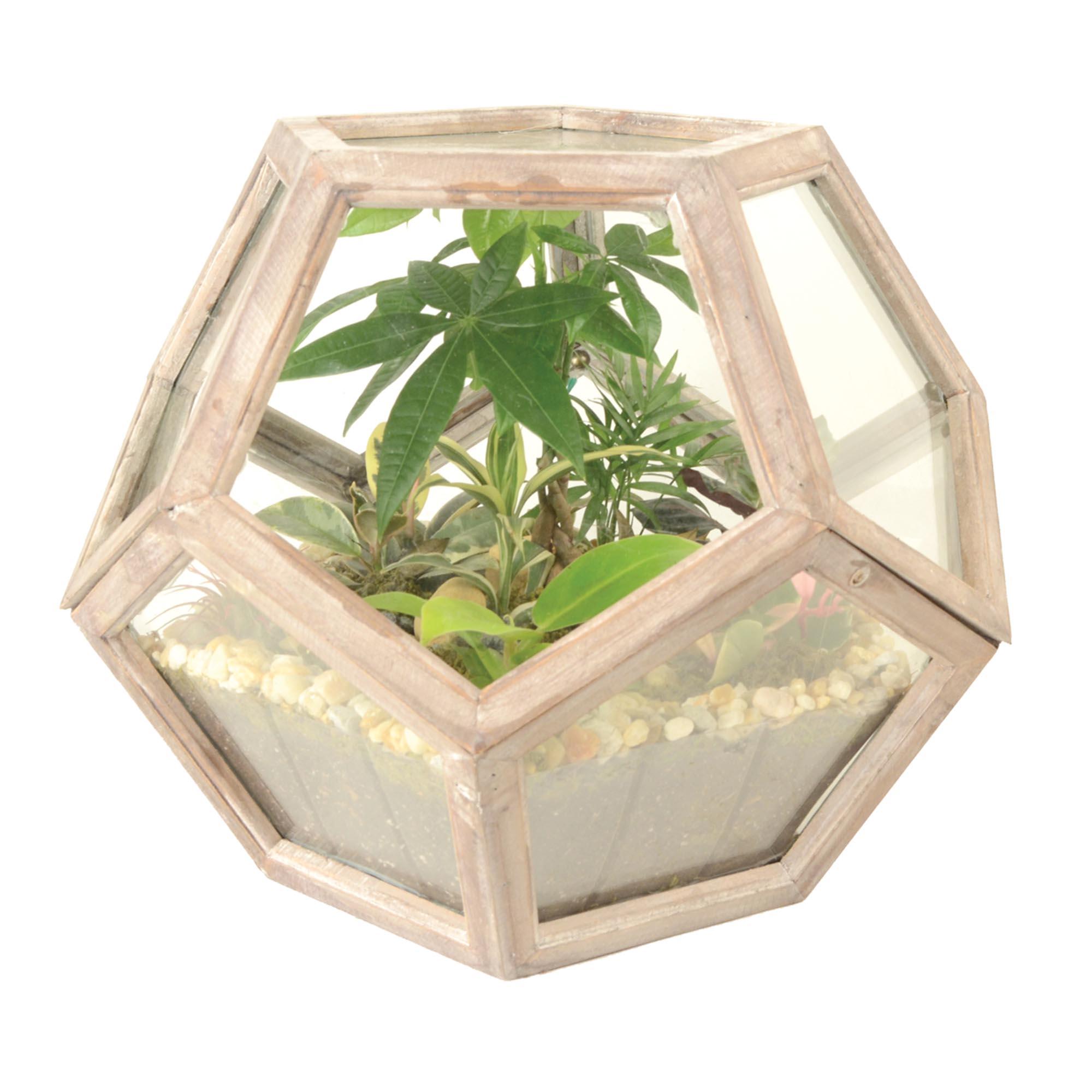 Terrarium globe en bois Neoponset 18 x 15 po