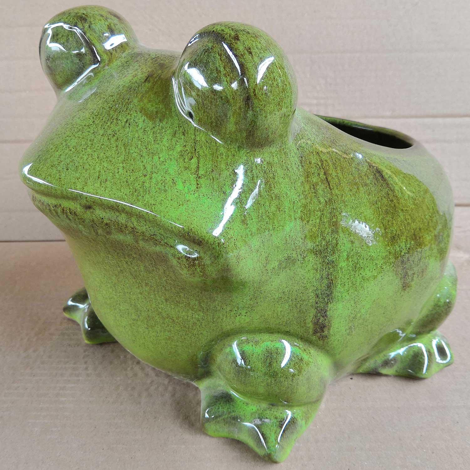 Frog Planter