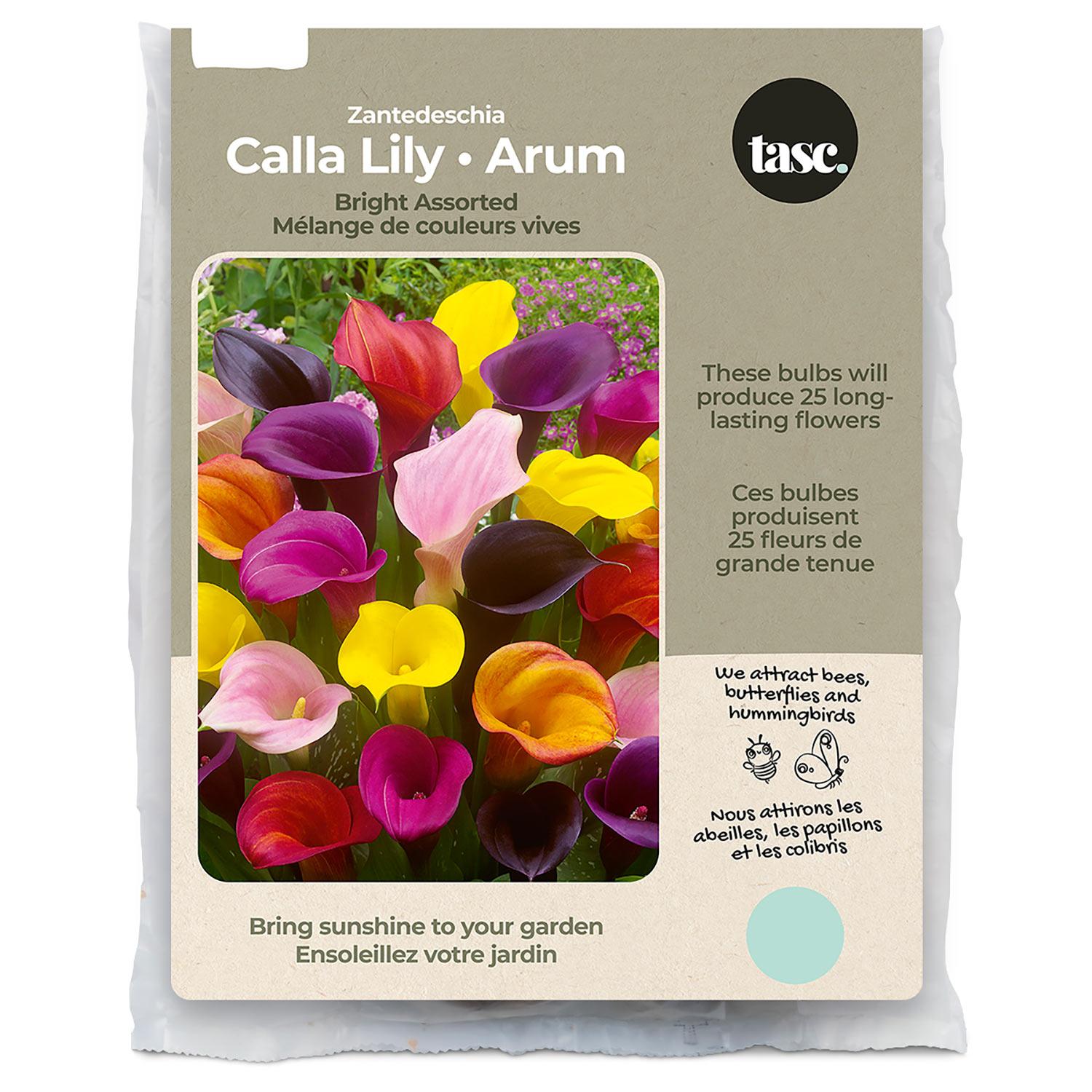 Calla Lily Assorted