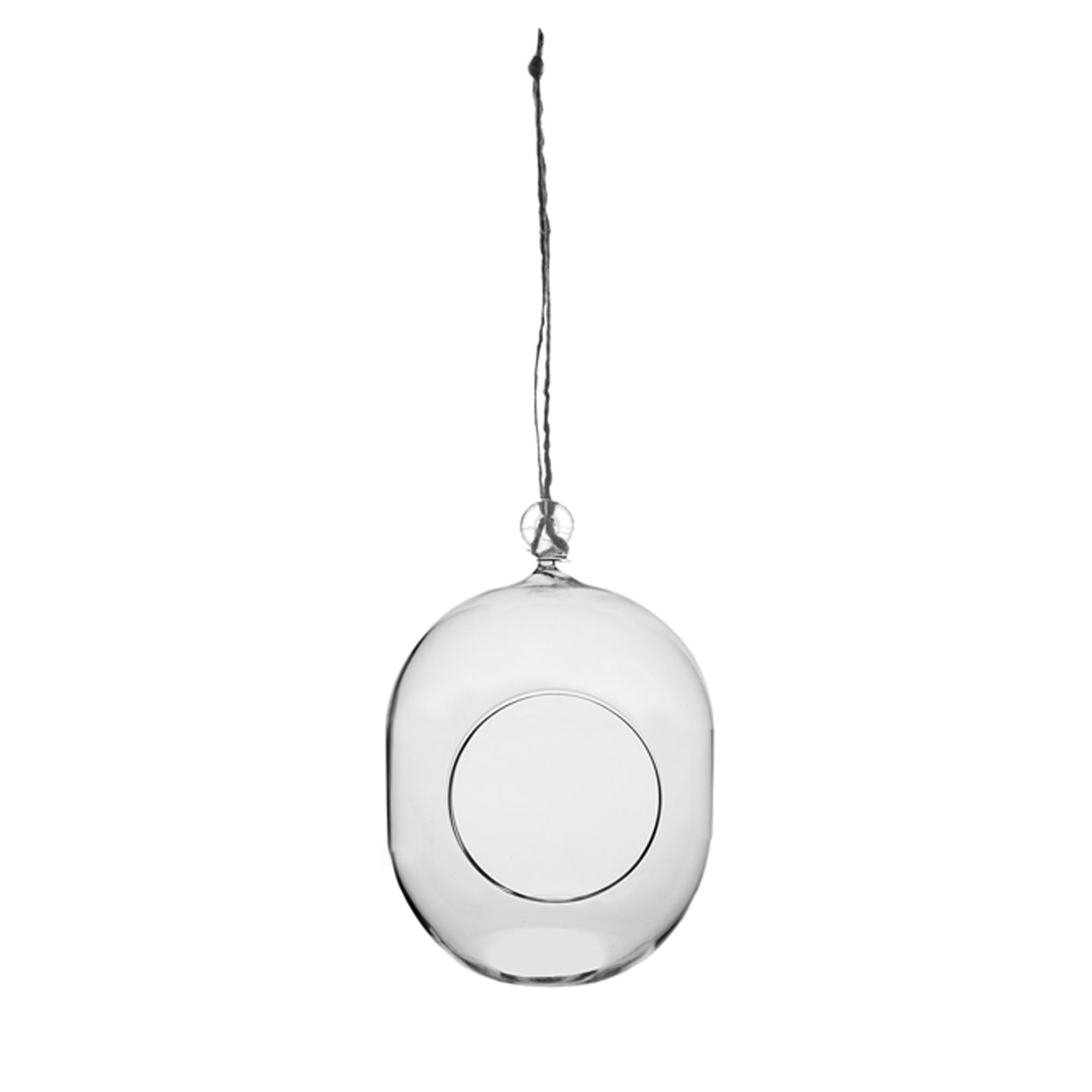 4.5 x 8.5" Capsule Hanging Terrarium
