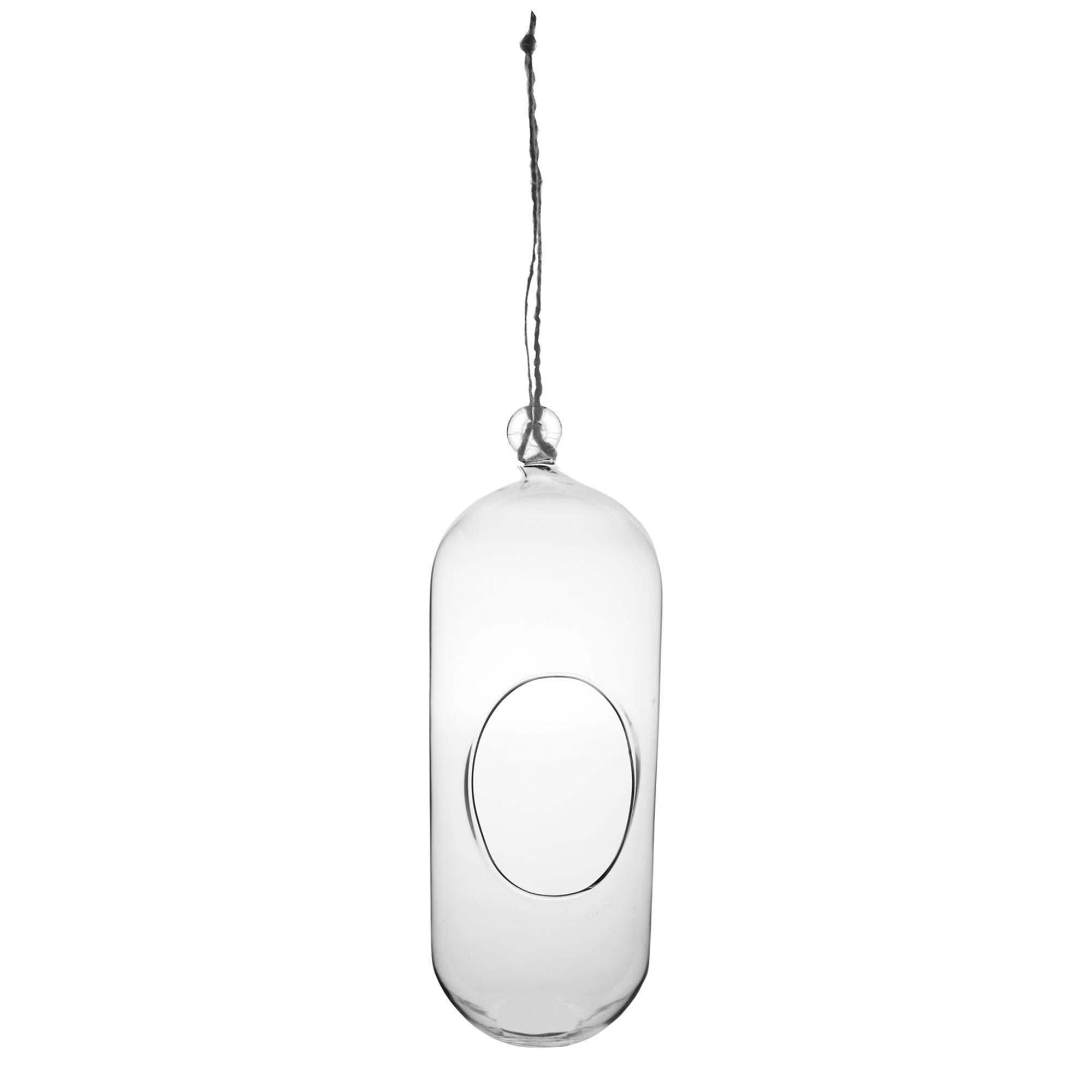 4.5 x 12" Capsule Hanging Terrarium