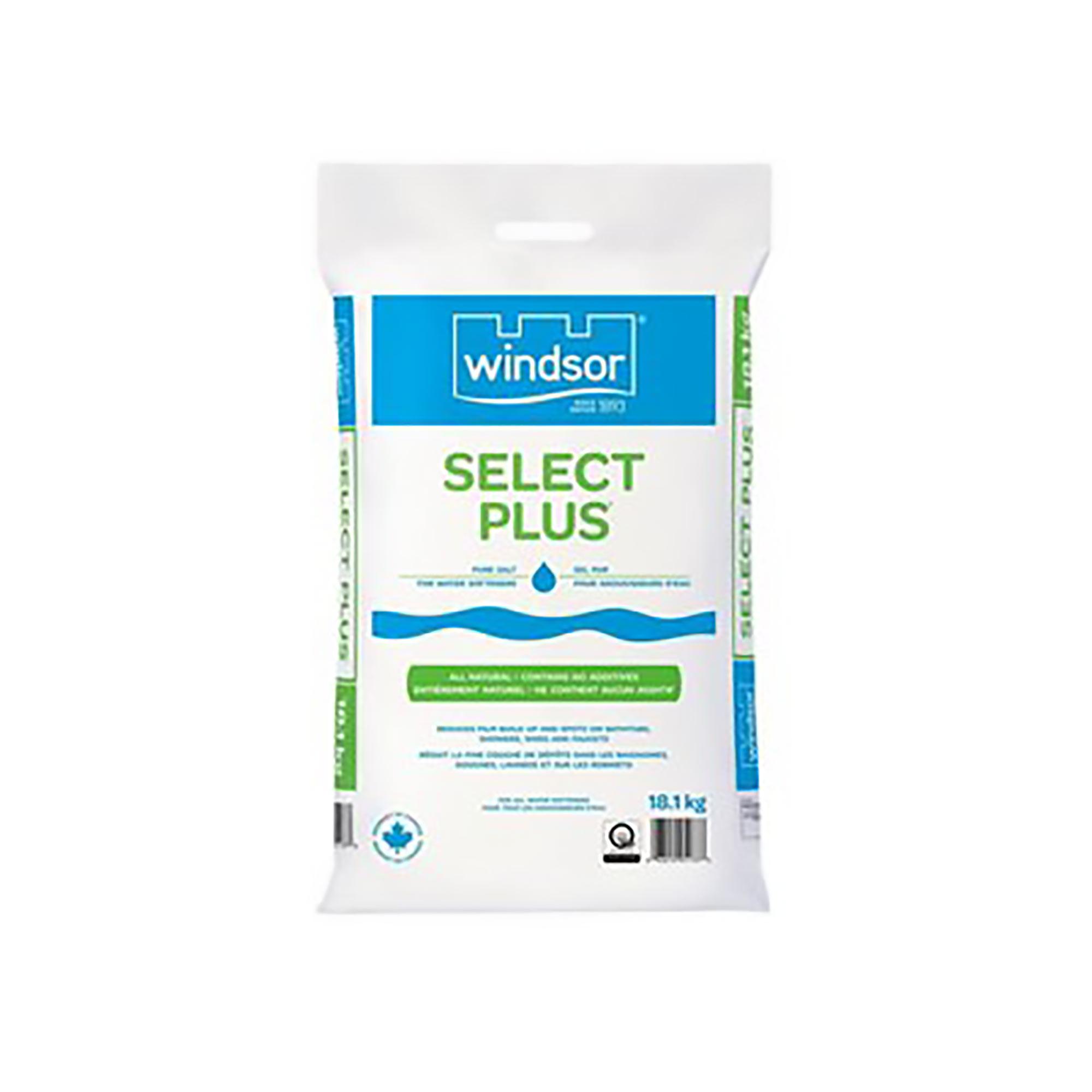 Sel pour adoucir l'eau Select Plus Windsor