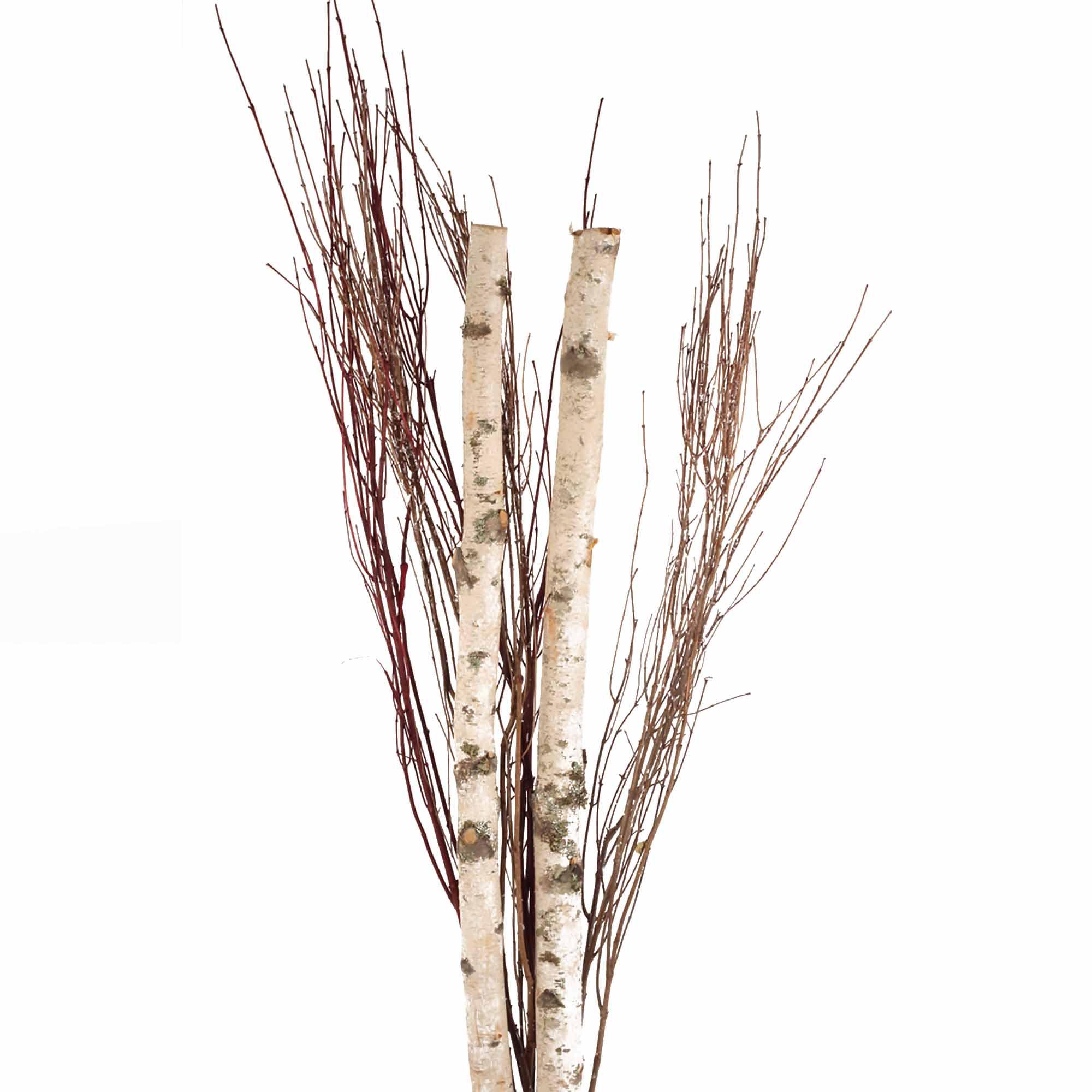 Brich Bouquet Stem