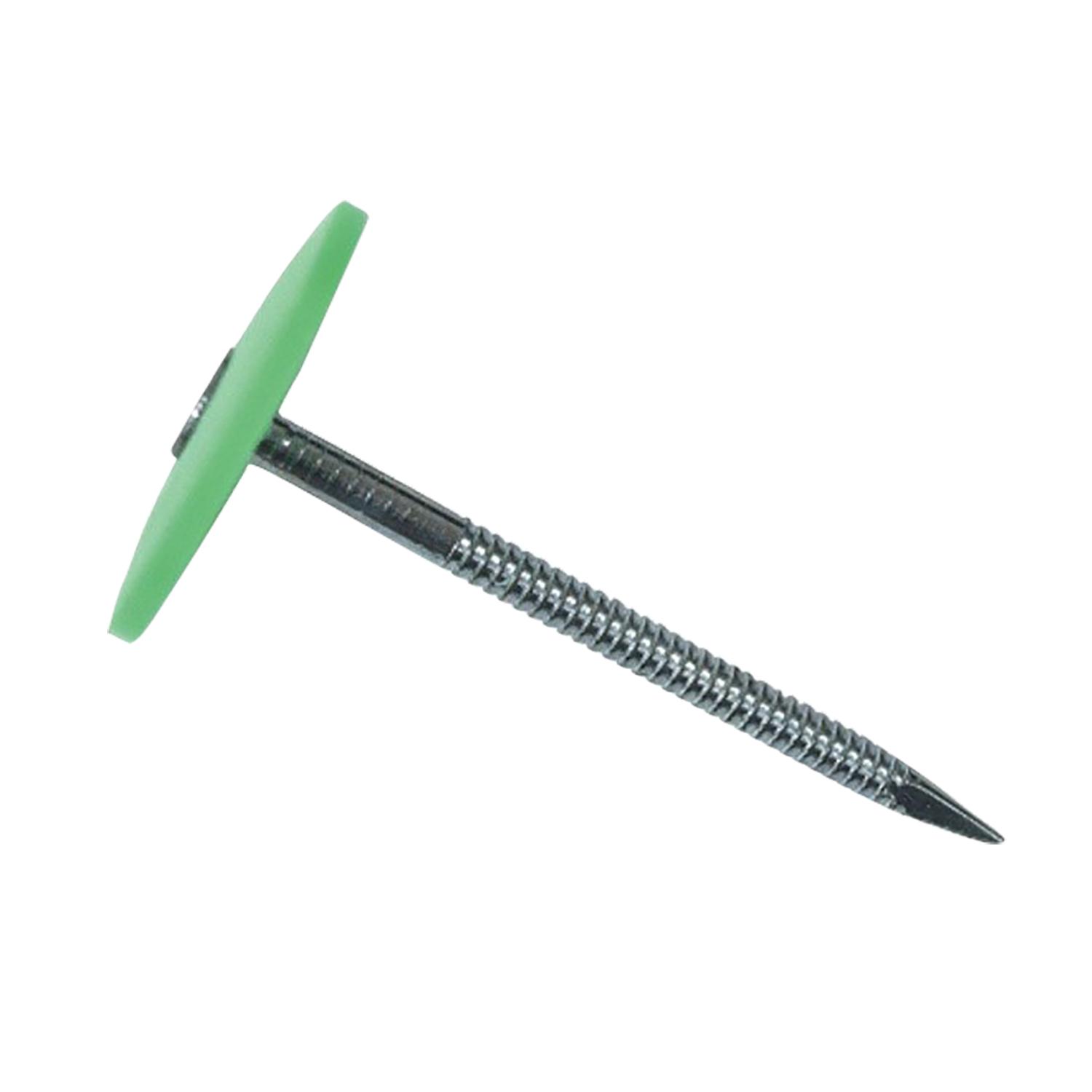 2-1/2" Plastic Top Nails-2000/Box