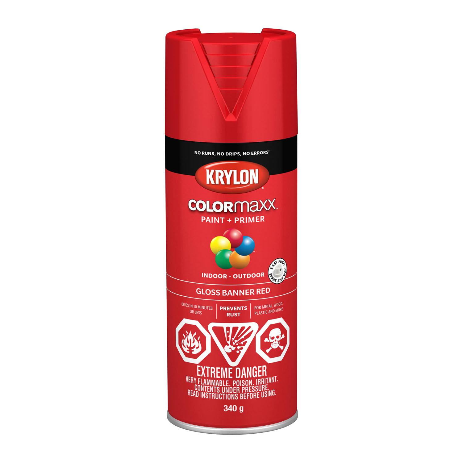 COLORmaxx Spray Paint-Gloss 340g