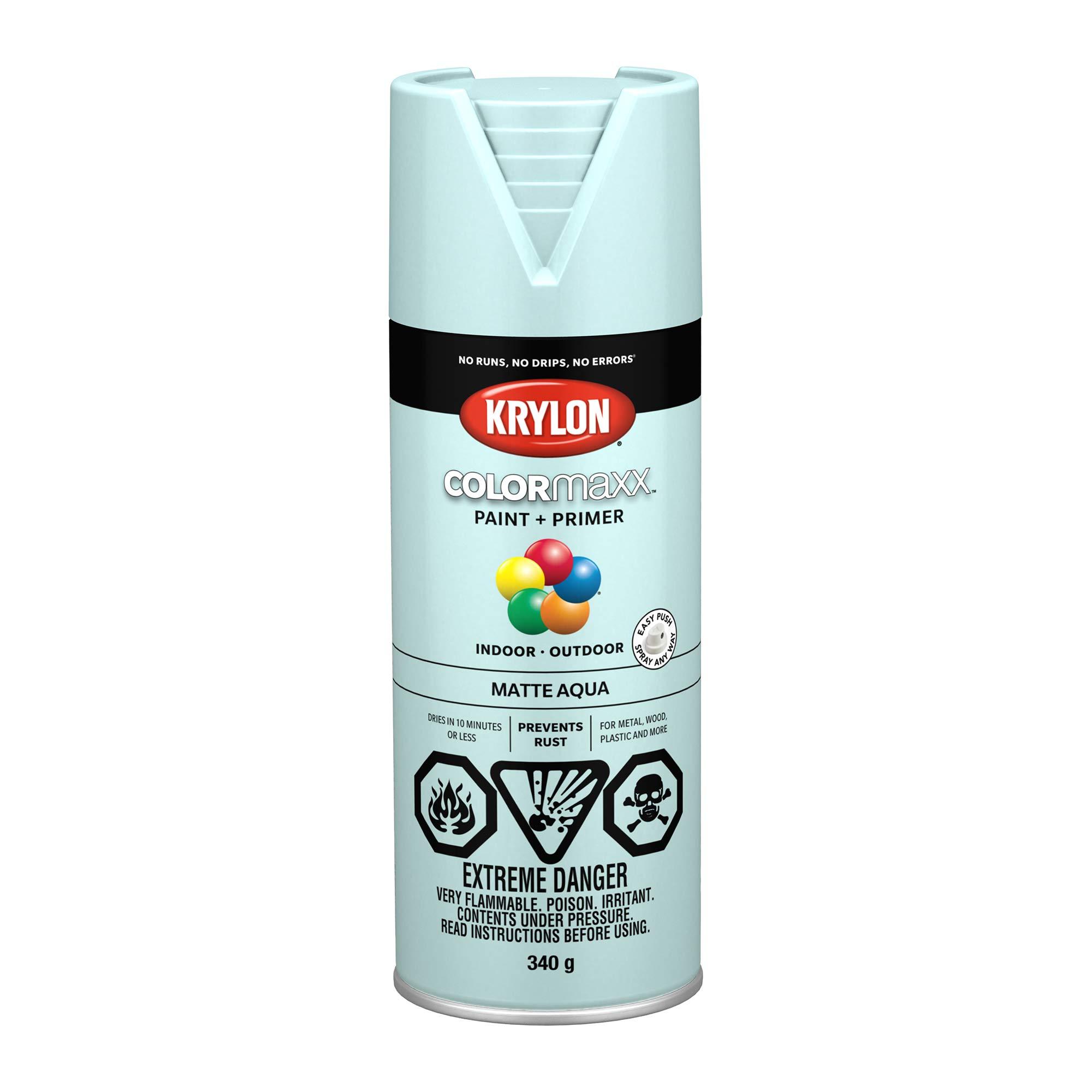 340 g Krylon Colormaxx - Matte