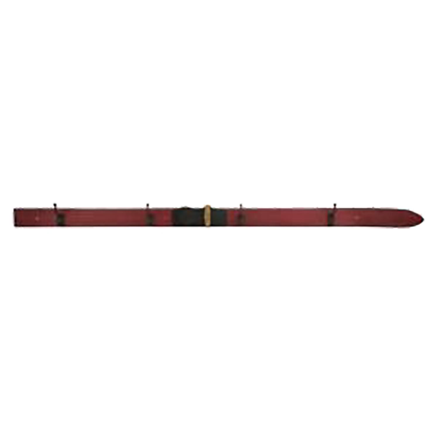 67" x 4" Red Ski Wallart
