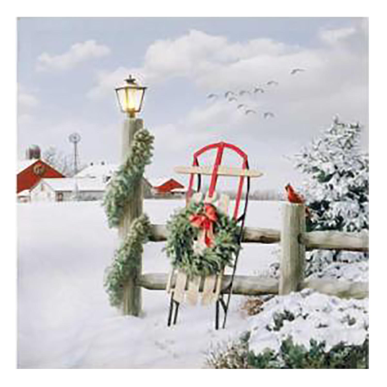 16" x 17" LED Sled Canvas Art
