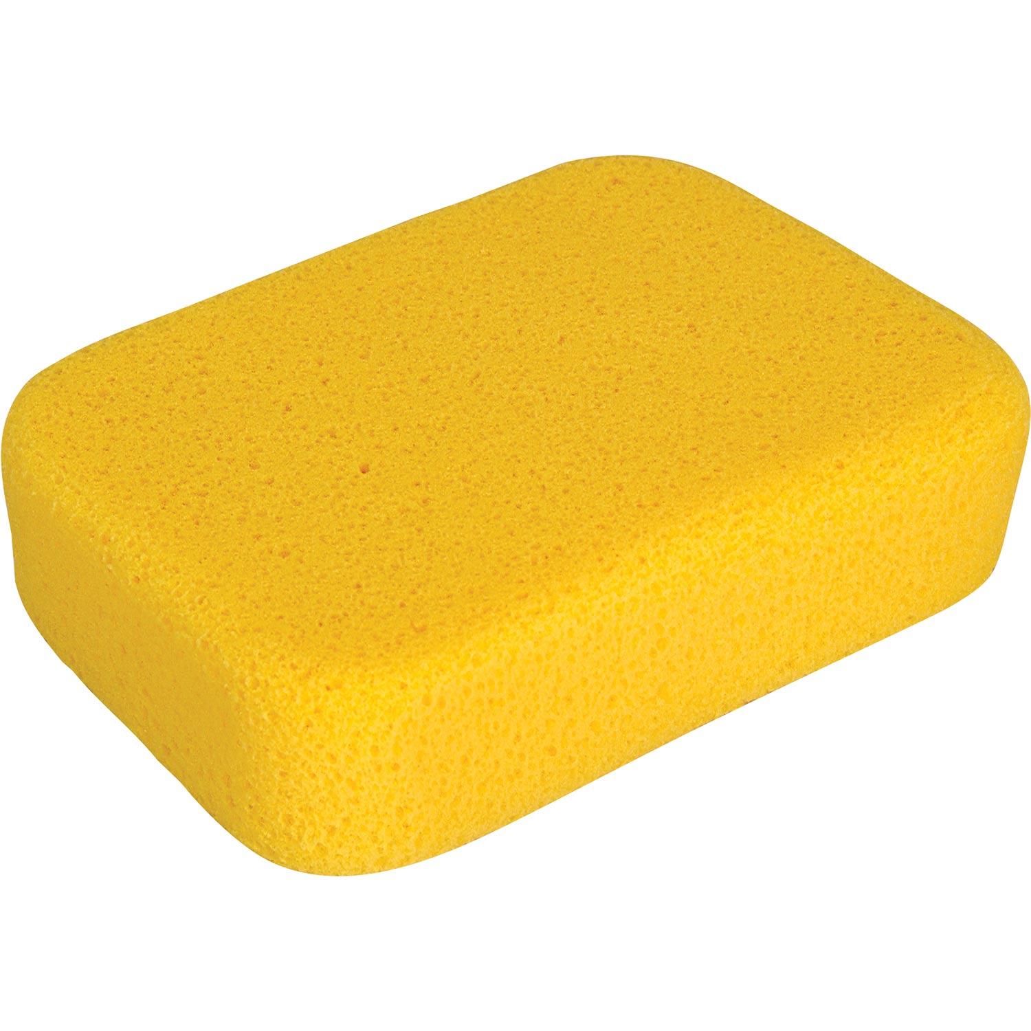 X-Large Sponge