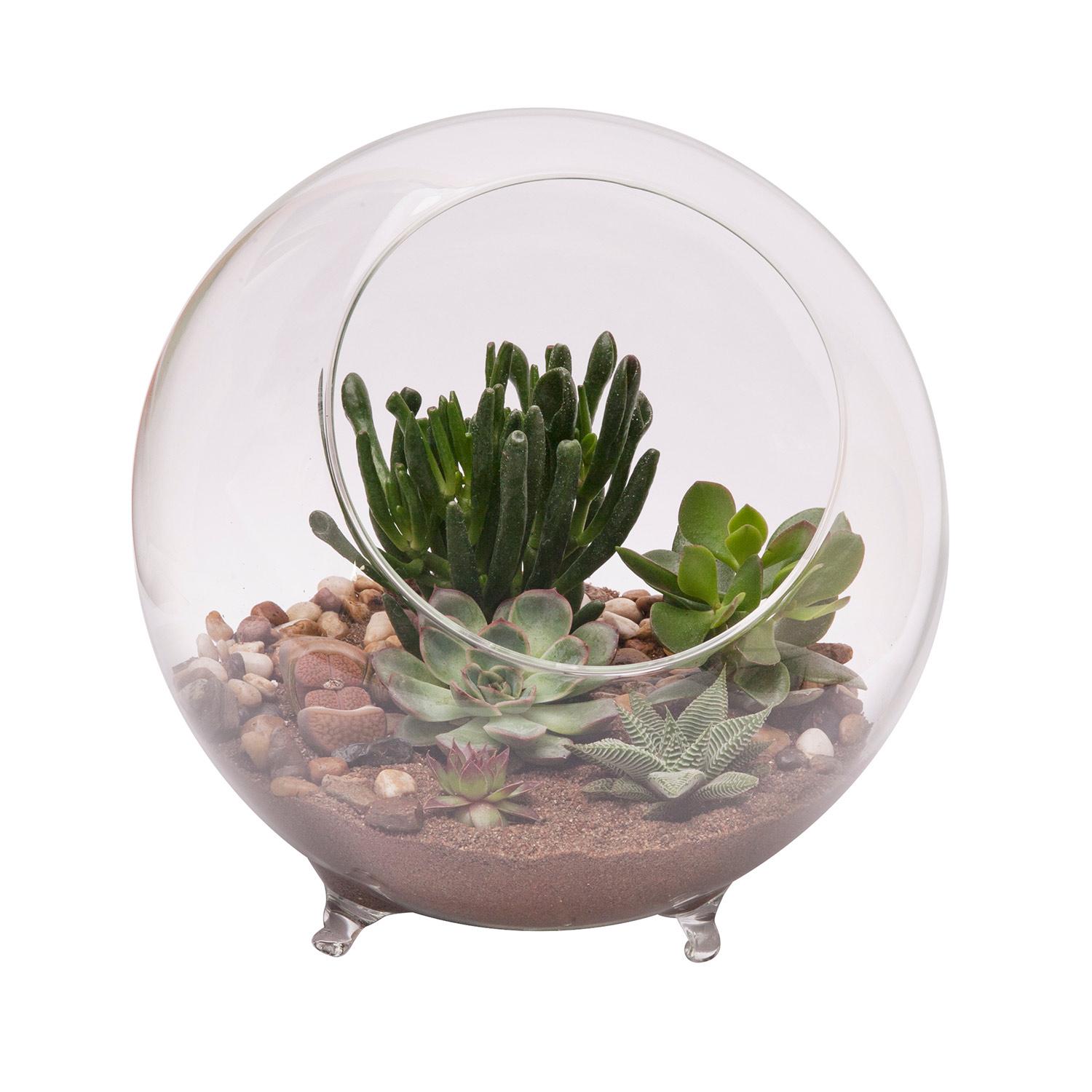 Large 10" Diameter Terrarium Sphere with Feet