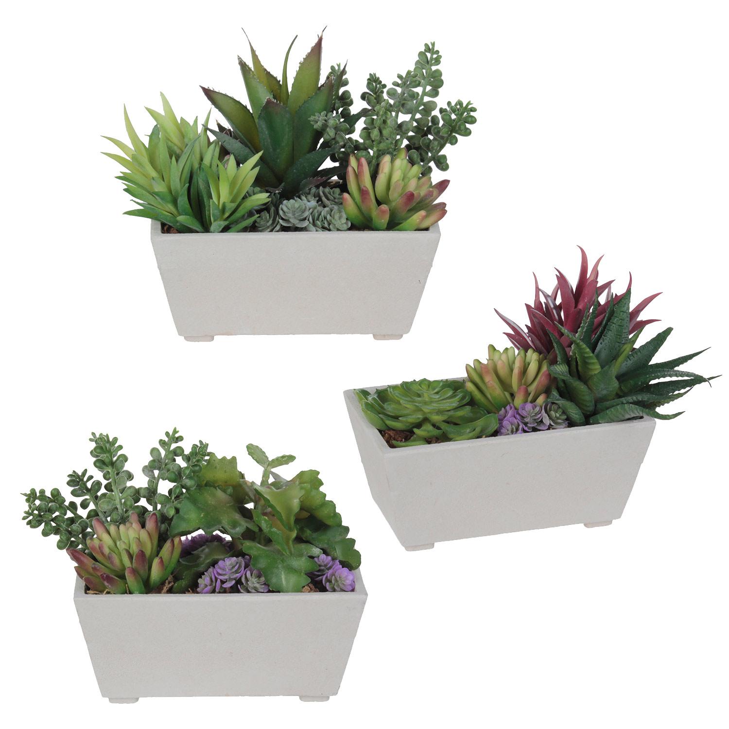 5" Artificial Succulents In Rectangular Terracotta Pot