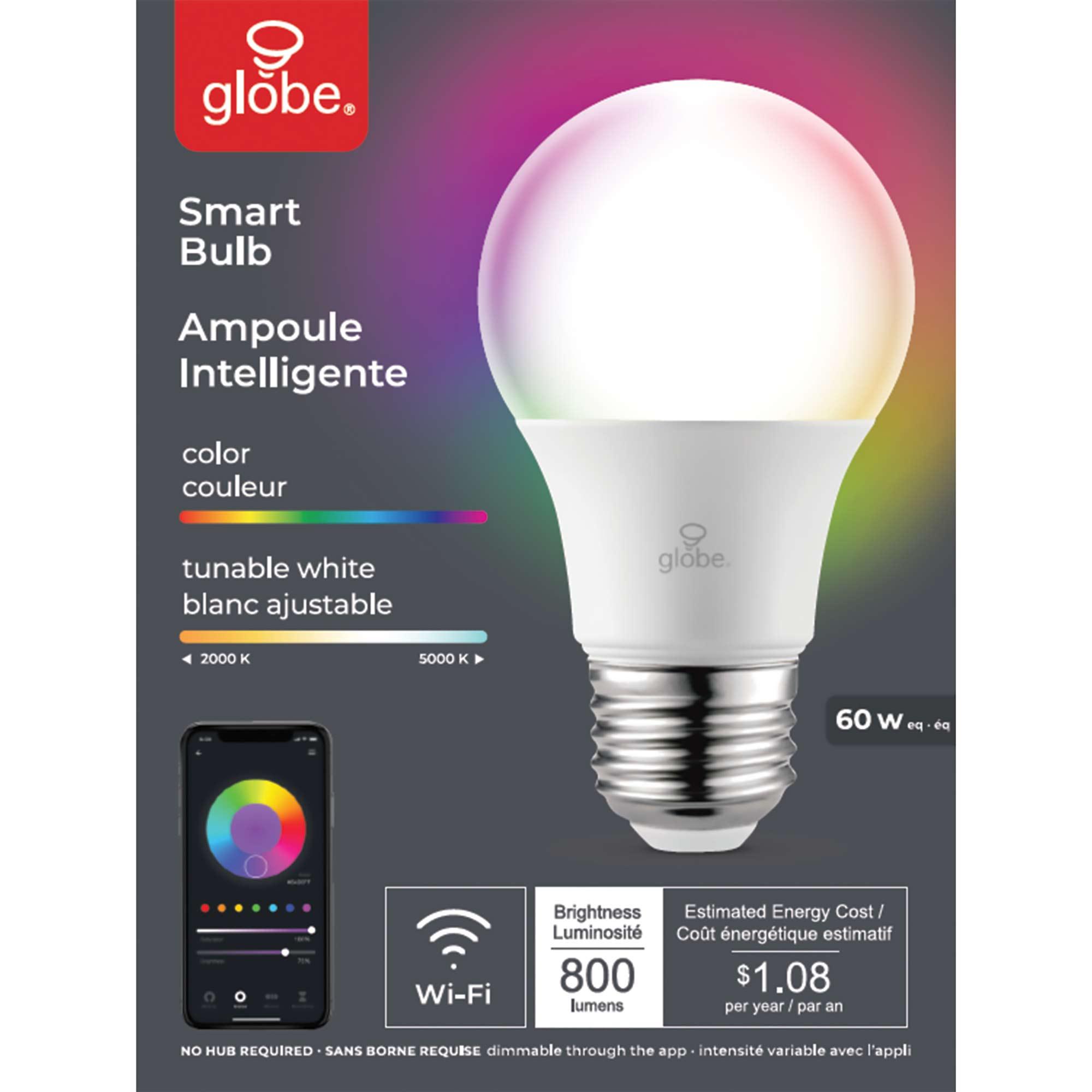 Ampoule intelligente Wi-Fi DEL A19 10 W changement couleur