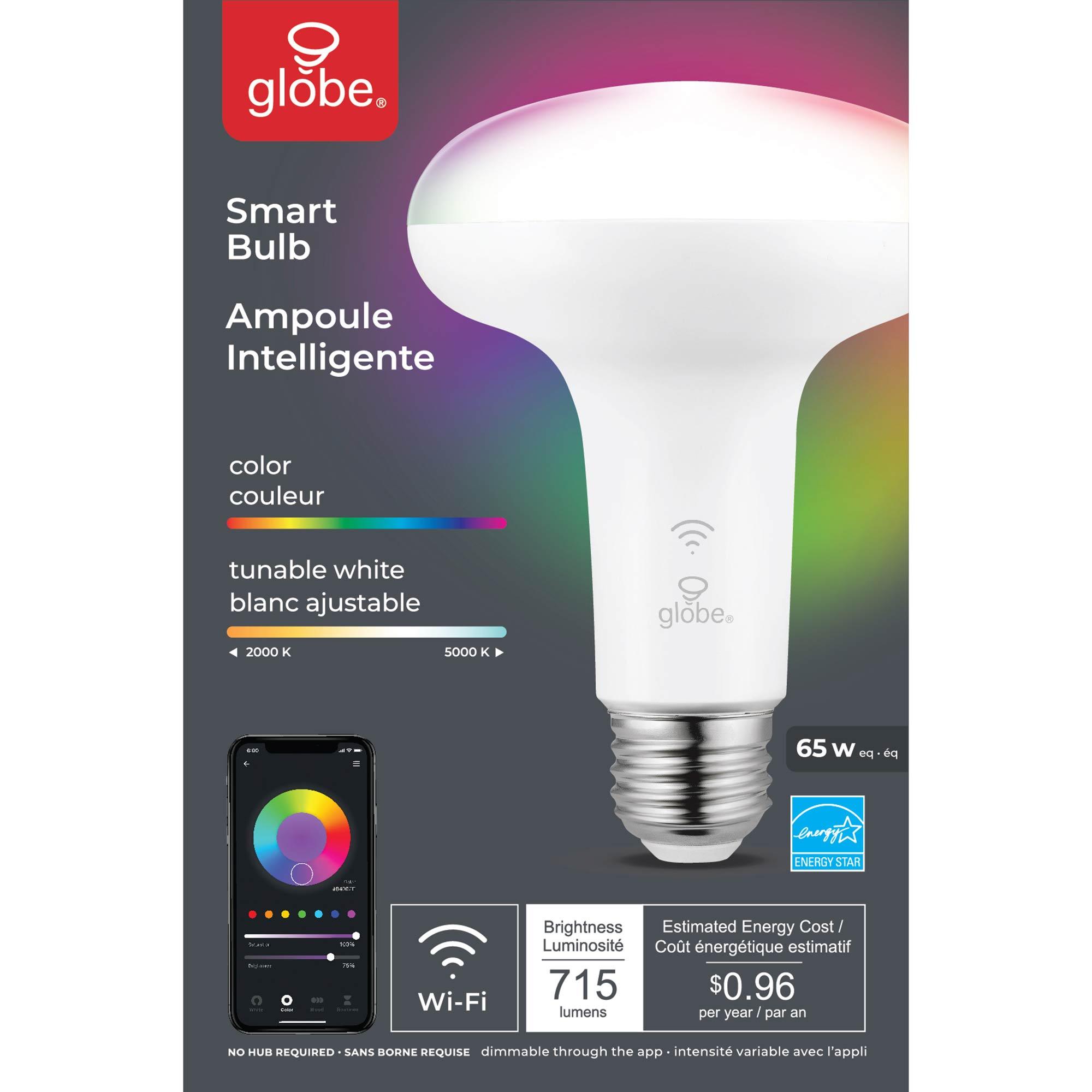 Ampoule intelligente Wi-Fi DEL BR30 10 W changement couleur