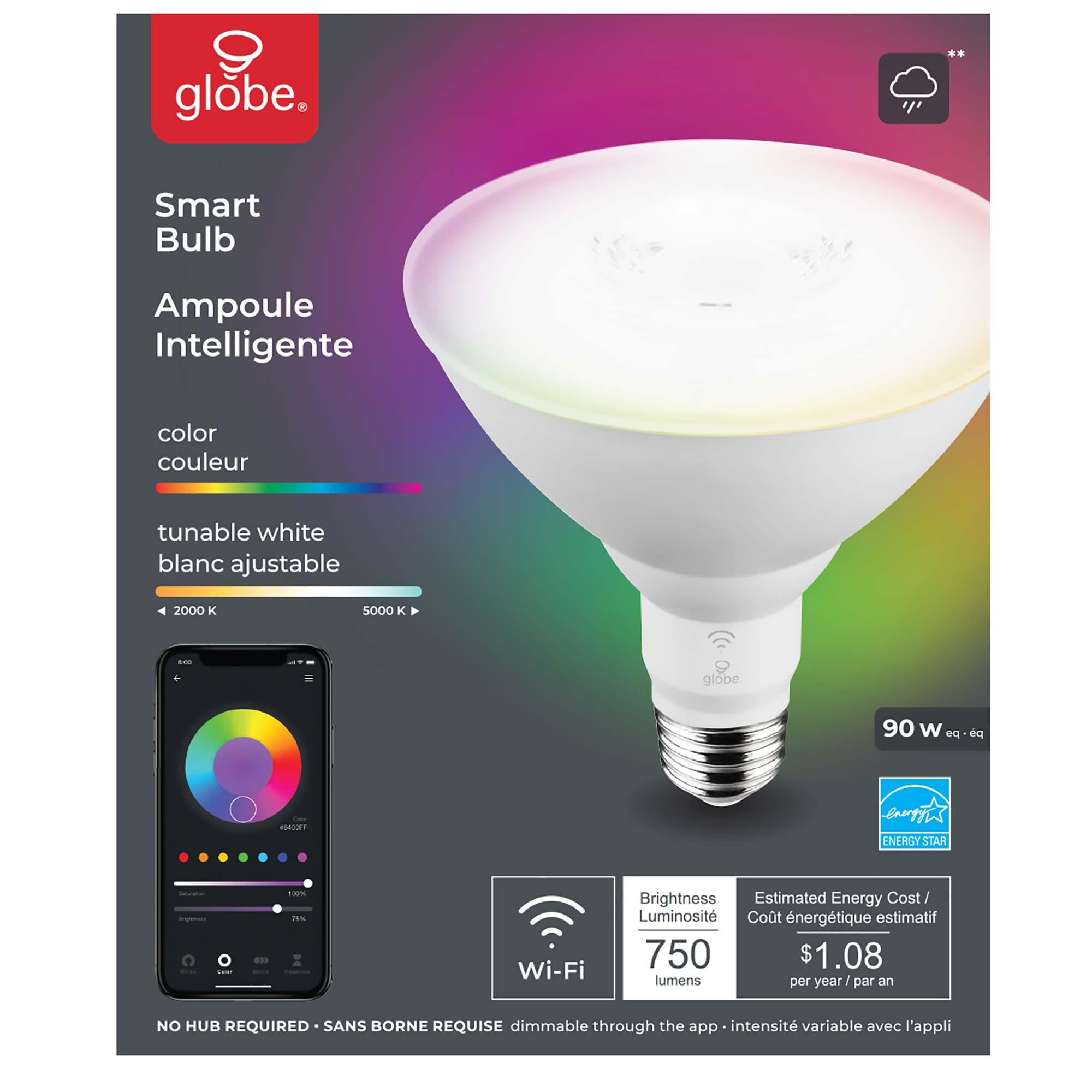 Ampoule intelligente Wi-Fi DEL PAR38 10 W changement couleur