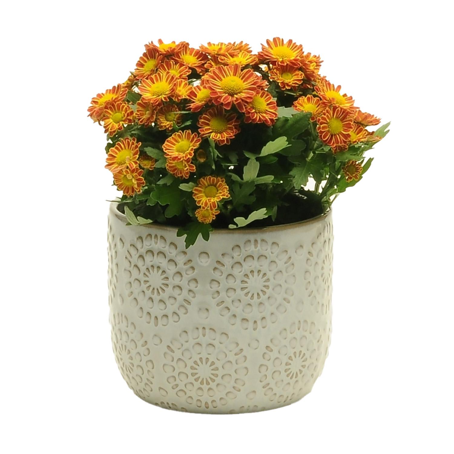 Pot en relief 5,5 po