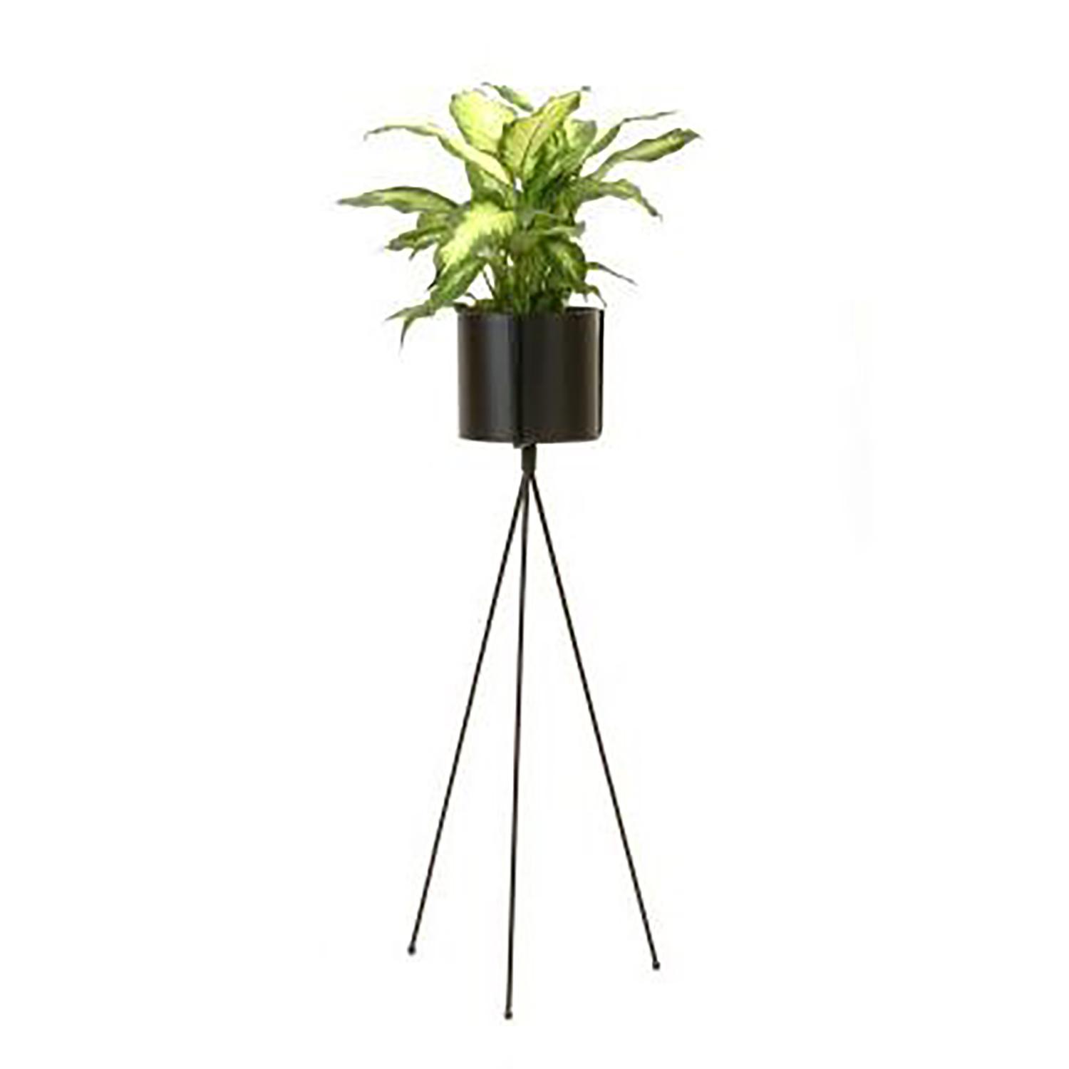 6 x 30 Metal Pot With Stand