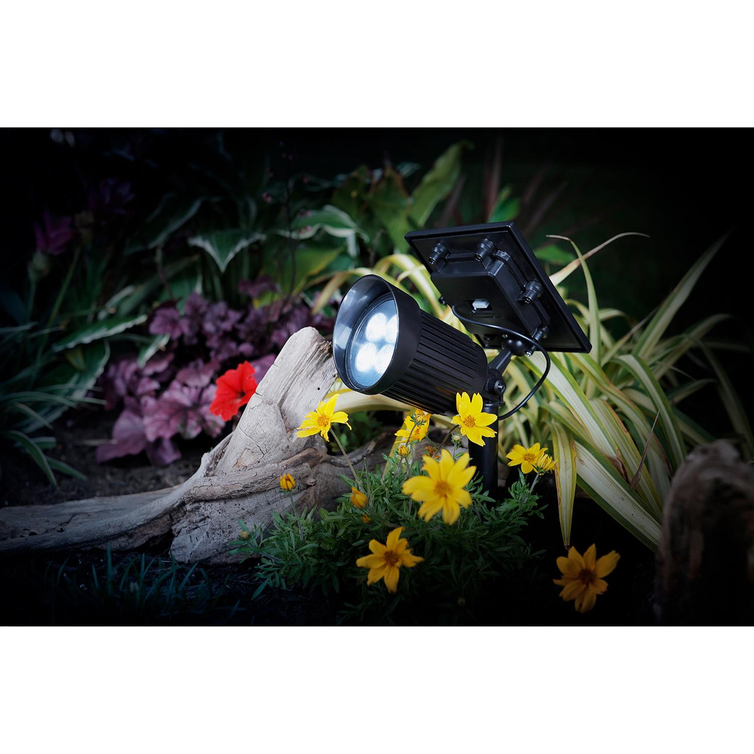 Projecteur solaire 200 lumens