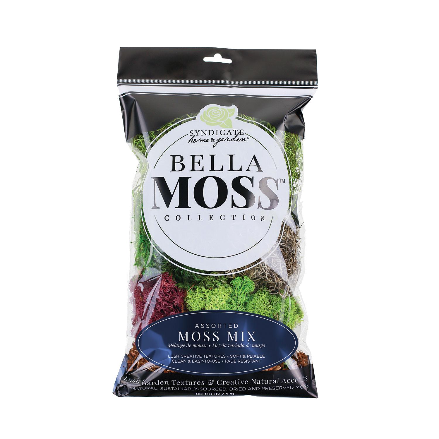 Mélange de mousse première qualité Bella 80 pi3