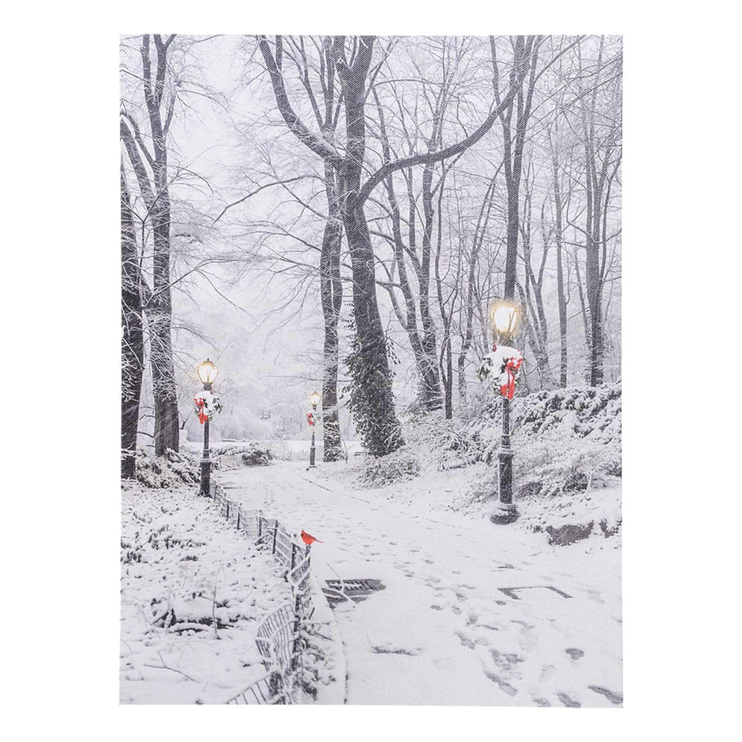 12" x 16" Winter Path LED Canvas