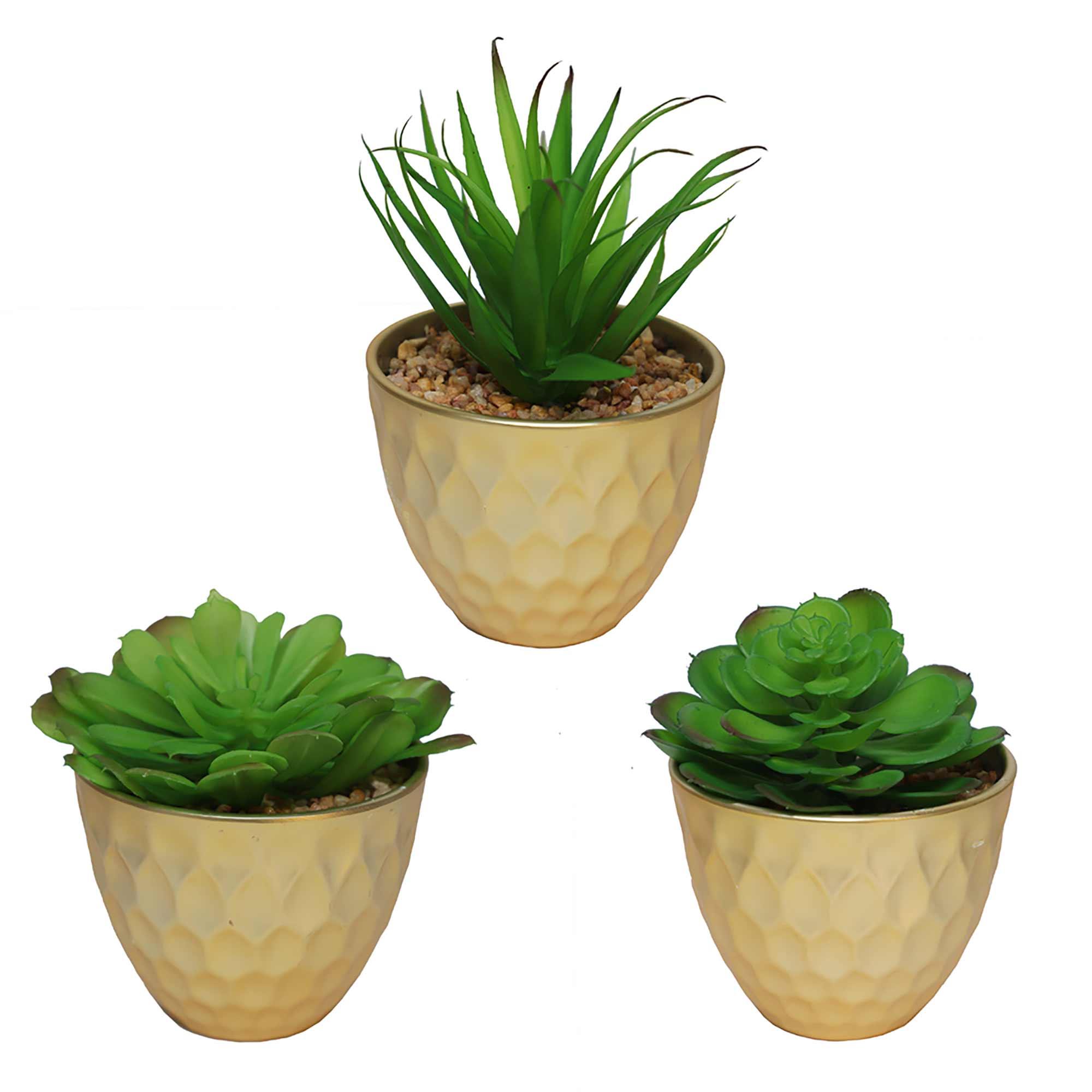 Pot doré avec plante, 3 assortis