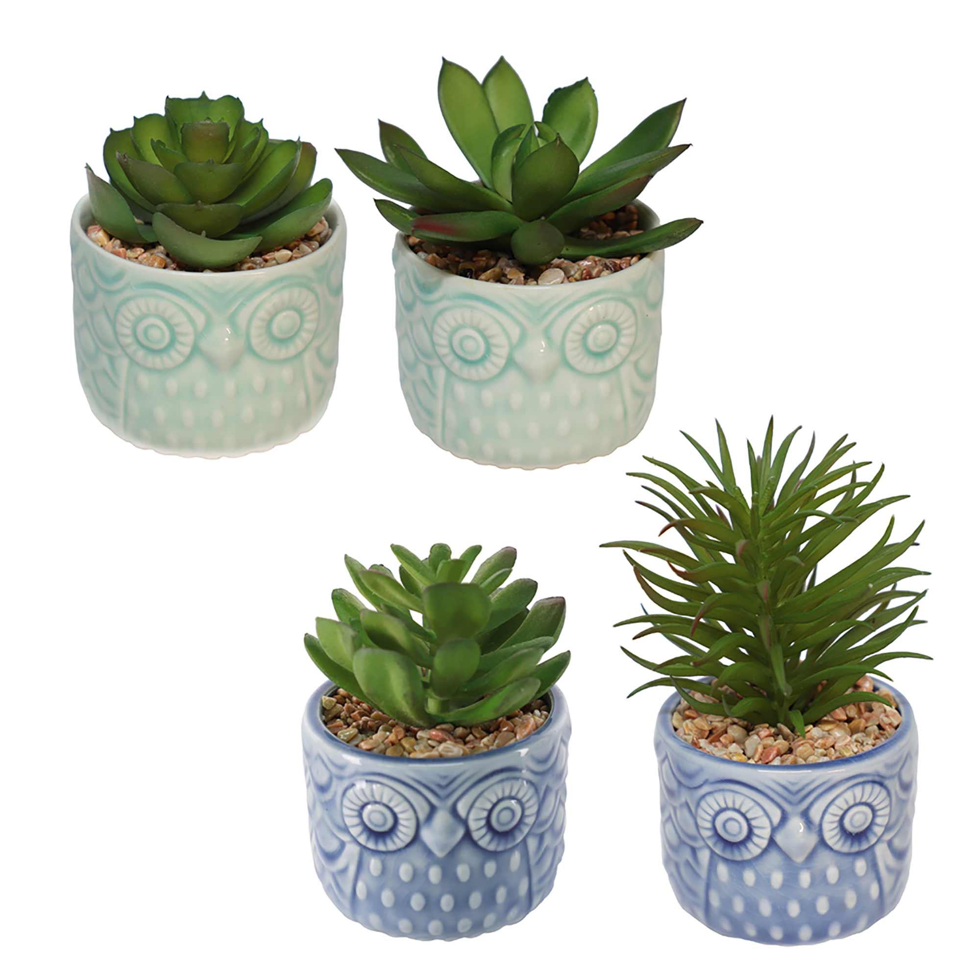 Owl Pot with Plant-4 Assorted