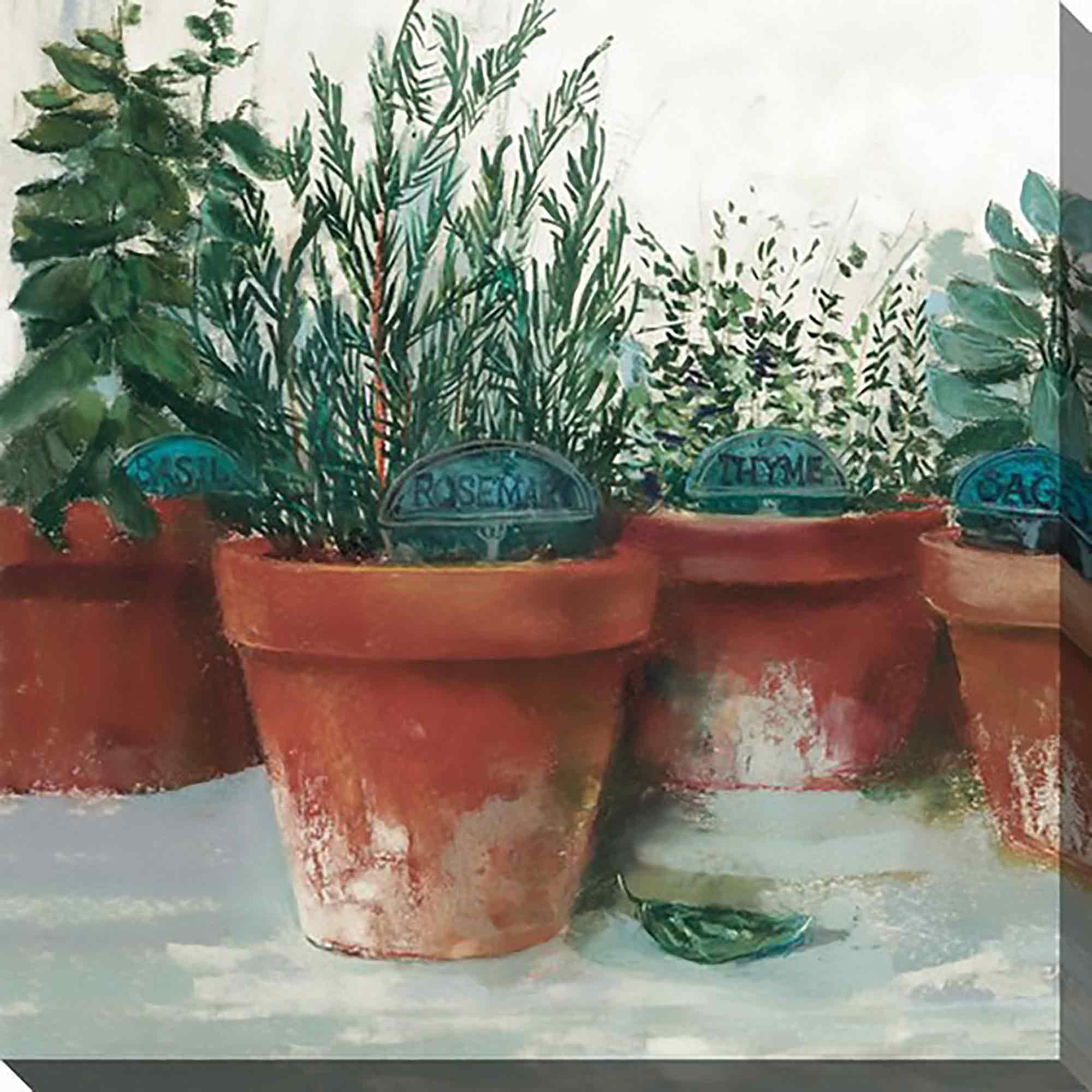 Toile Pots d'herbes I 24 x 24 po