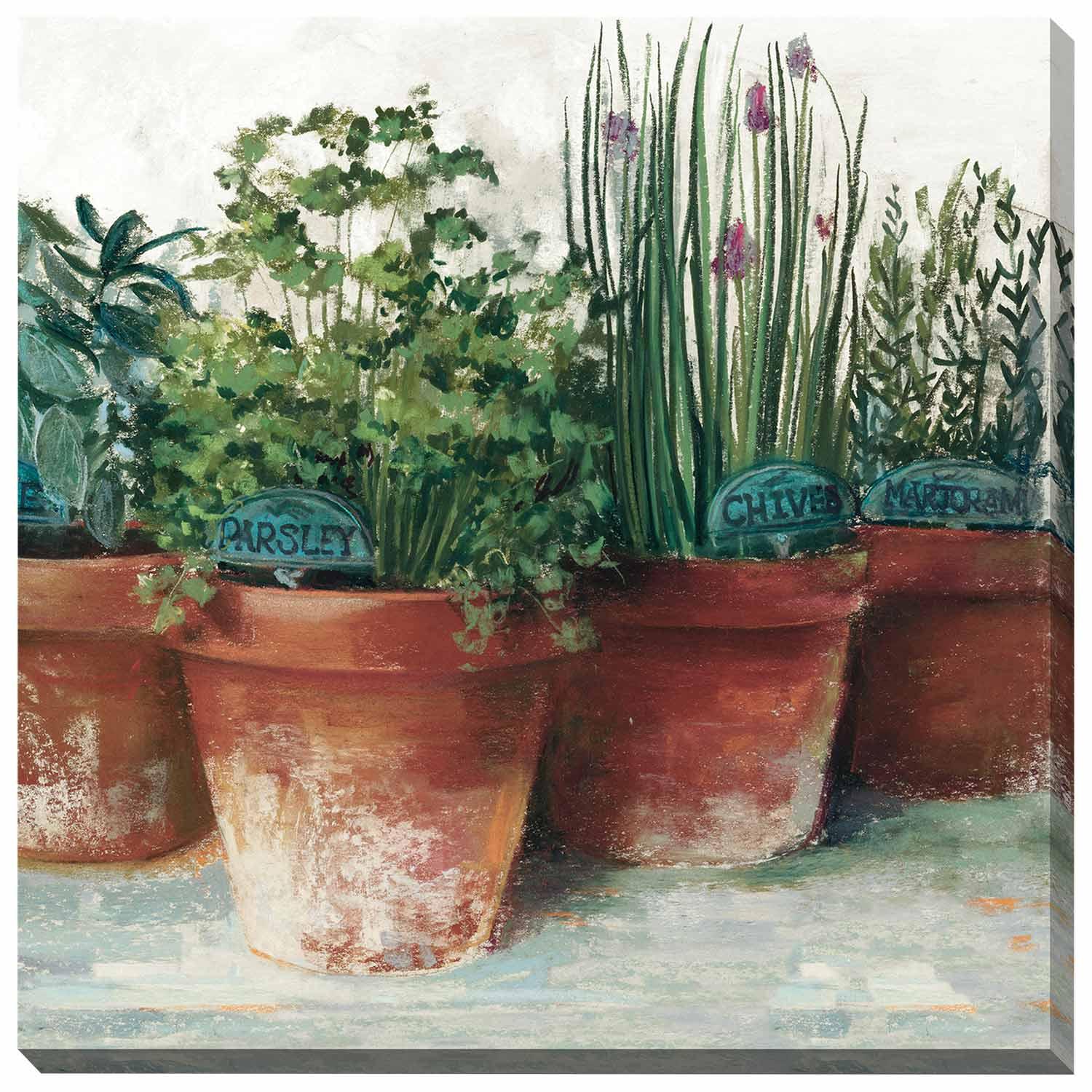 Toile Pots d'herbes II 24 x 24 po