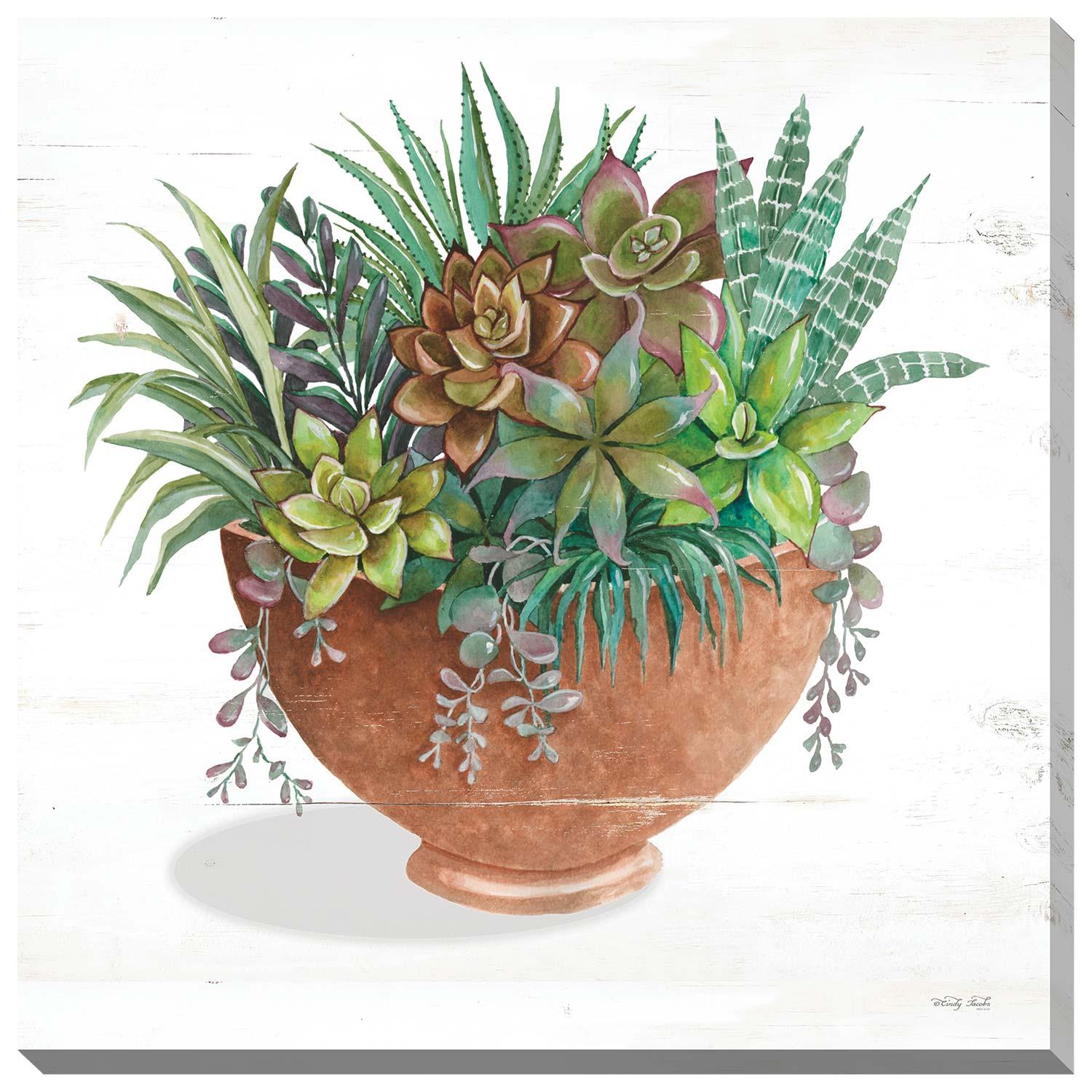 Toile Plantes grasses terre cuite II 24 x 24 po