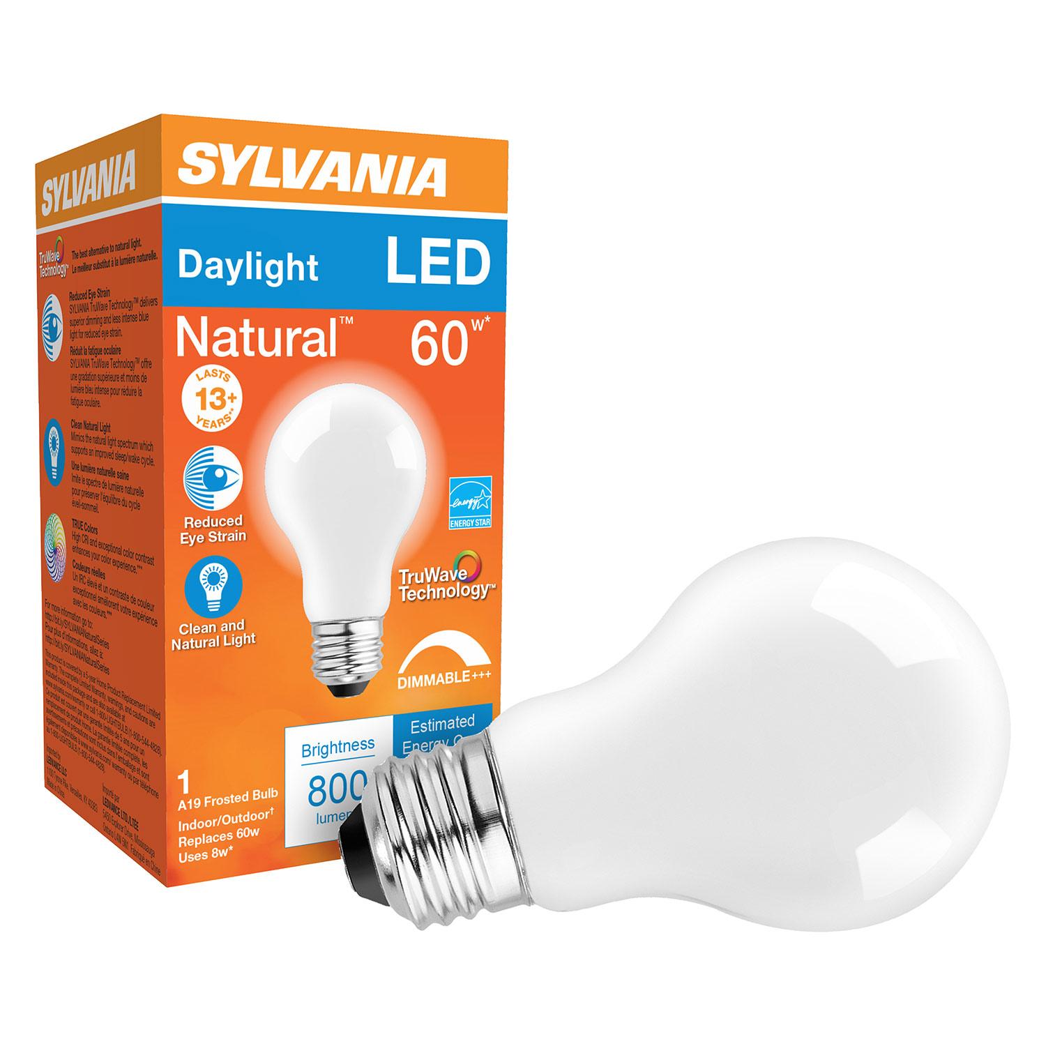 Ampoule DEL A19 culot moyen intensité variable 8 W, 1/pqt
