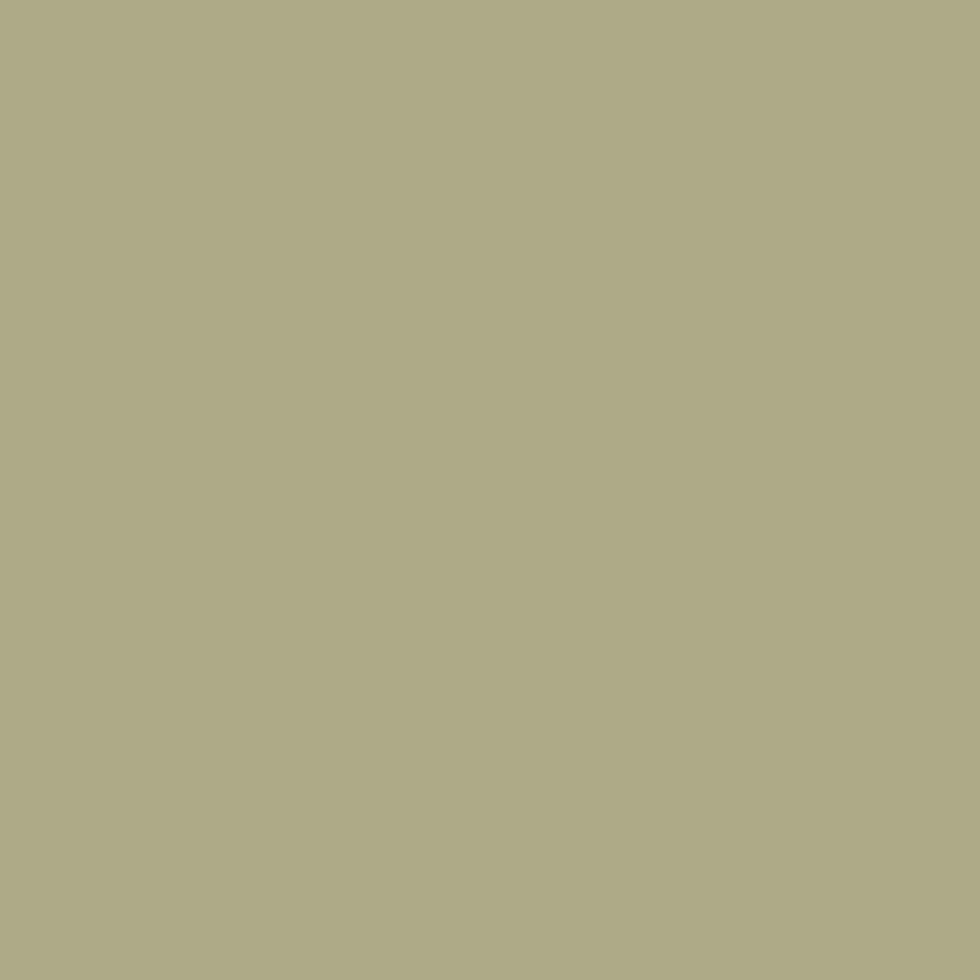 Bardage stuc HZ5 James Hardie 4 x 10, mousse chinée
