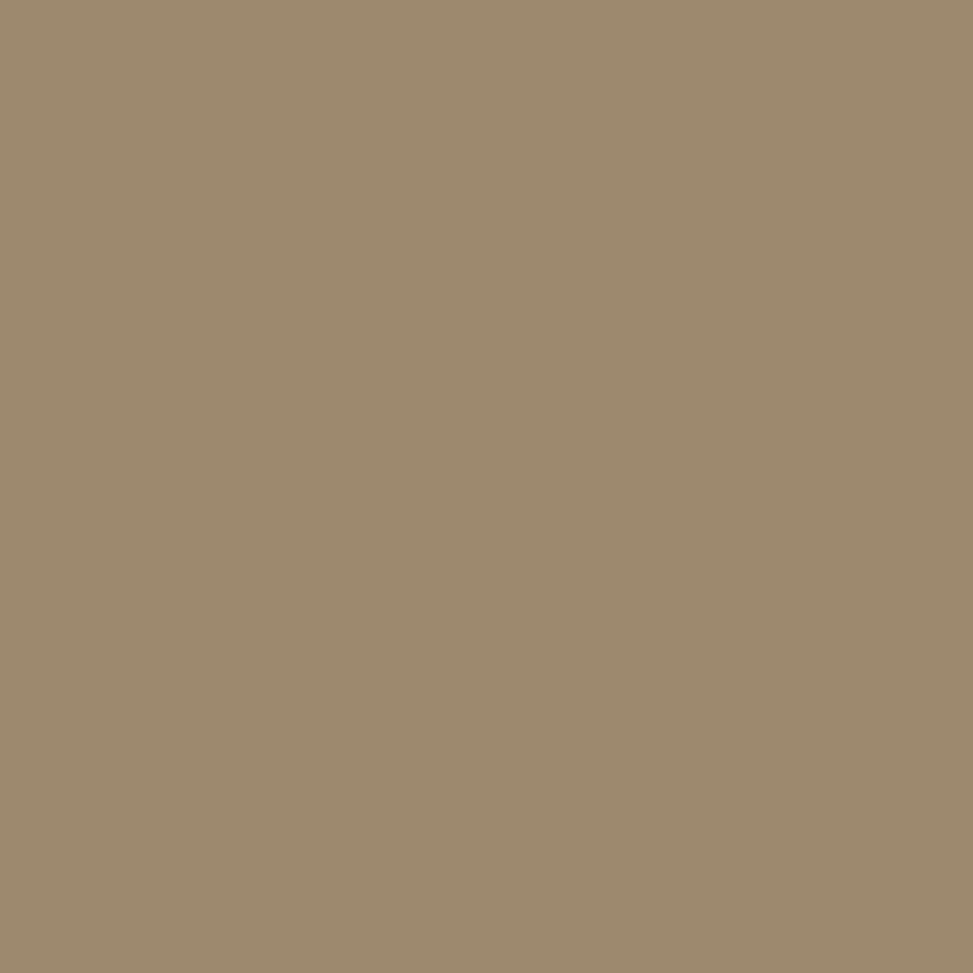 Bardage stuc HZ5 James Hardie 4 x 8, brun kaki