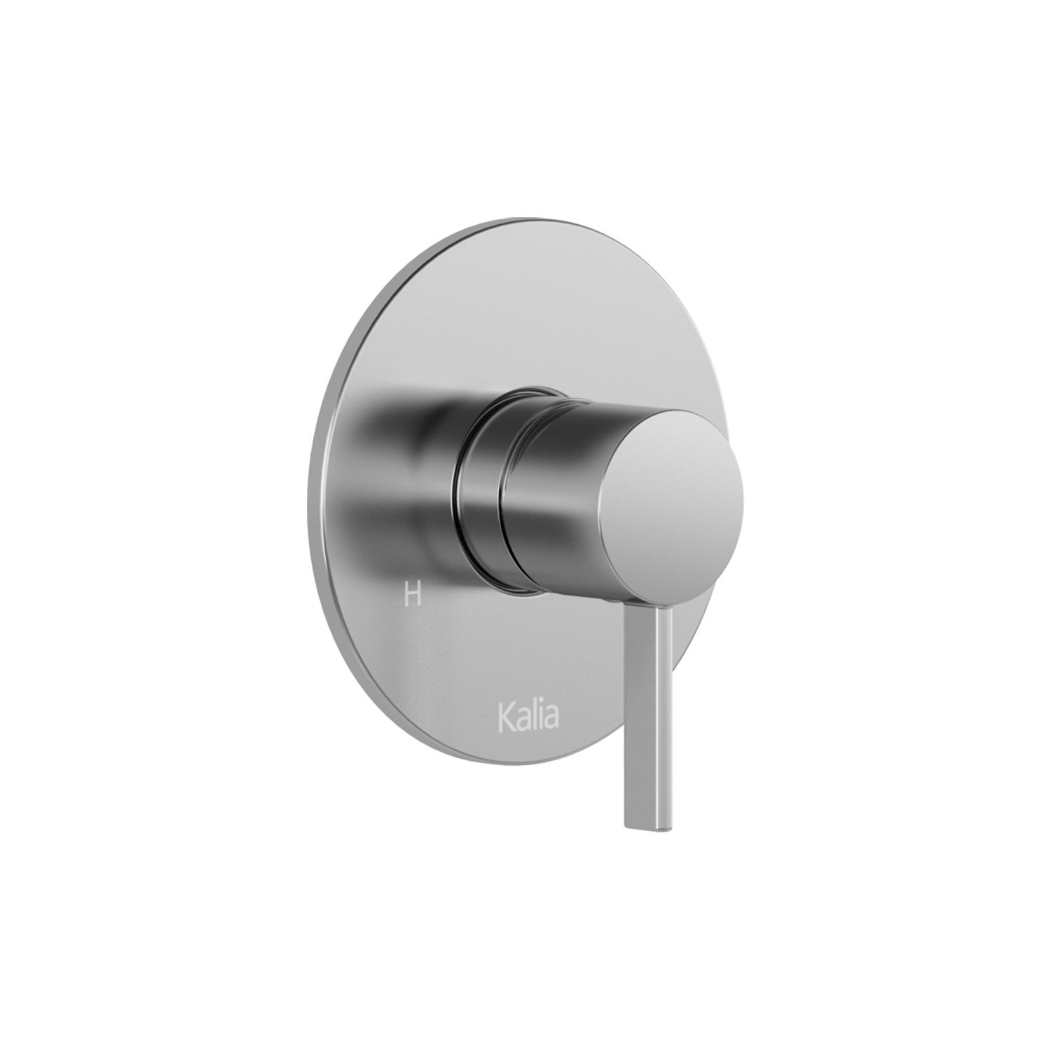 Garniture de valve ronde chrome pour douche Basico