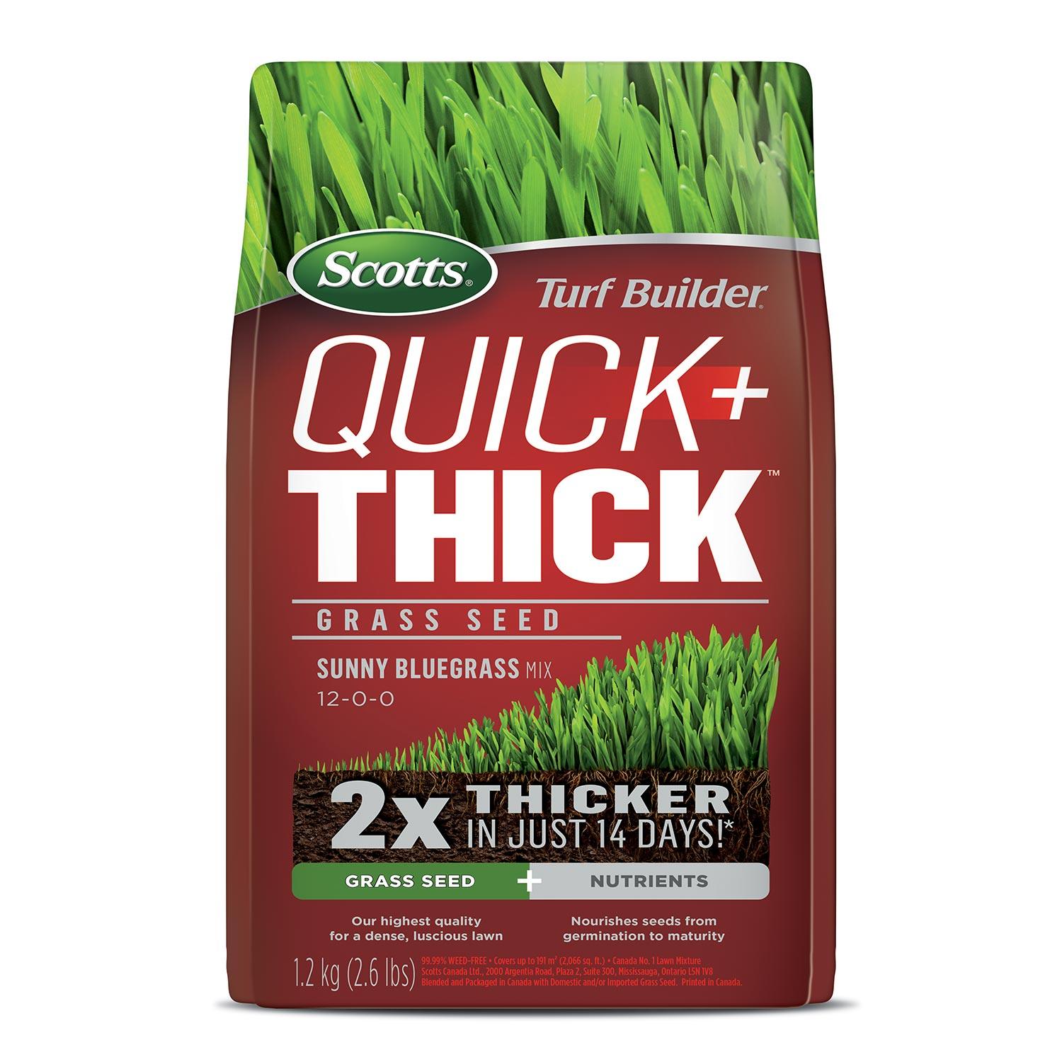 Turf Builder Quick + Thick Grass Seed Sunny Bluegrass