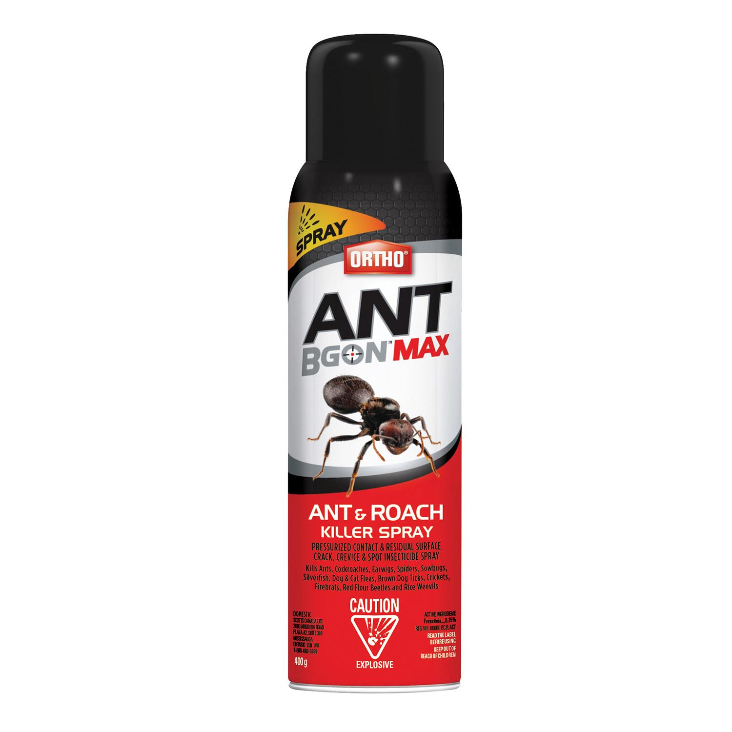 Ant B Gon Max Ant and Roach Killer Spray-400g