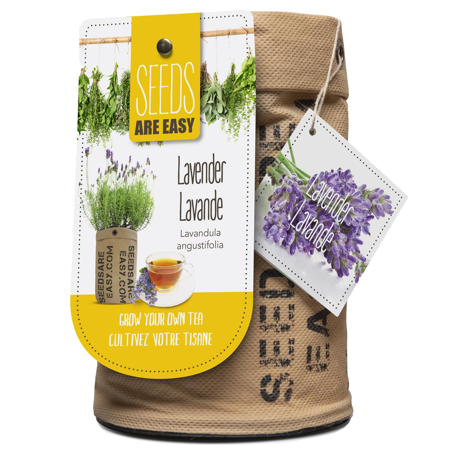 EZ BIO Leavender Seeds