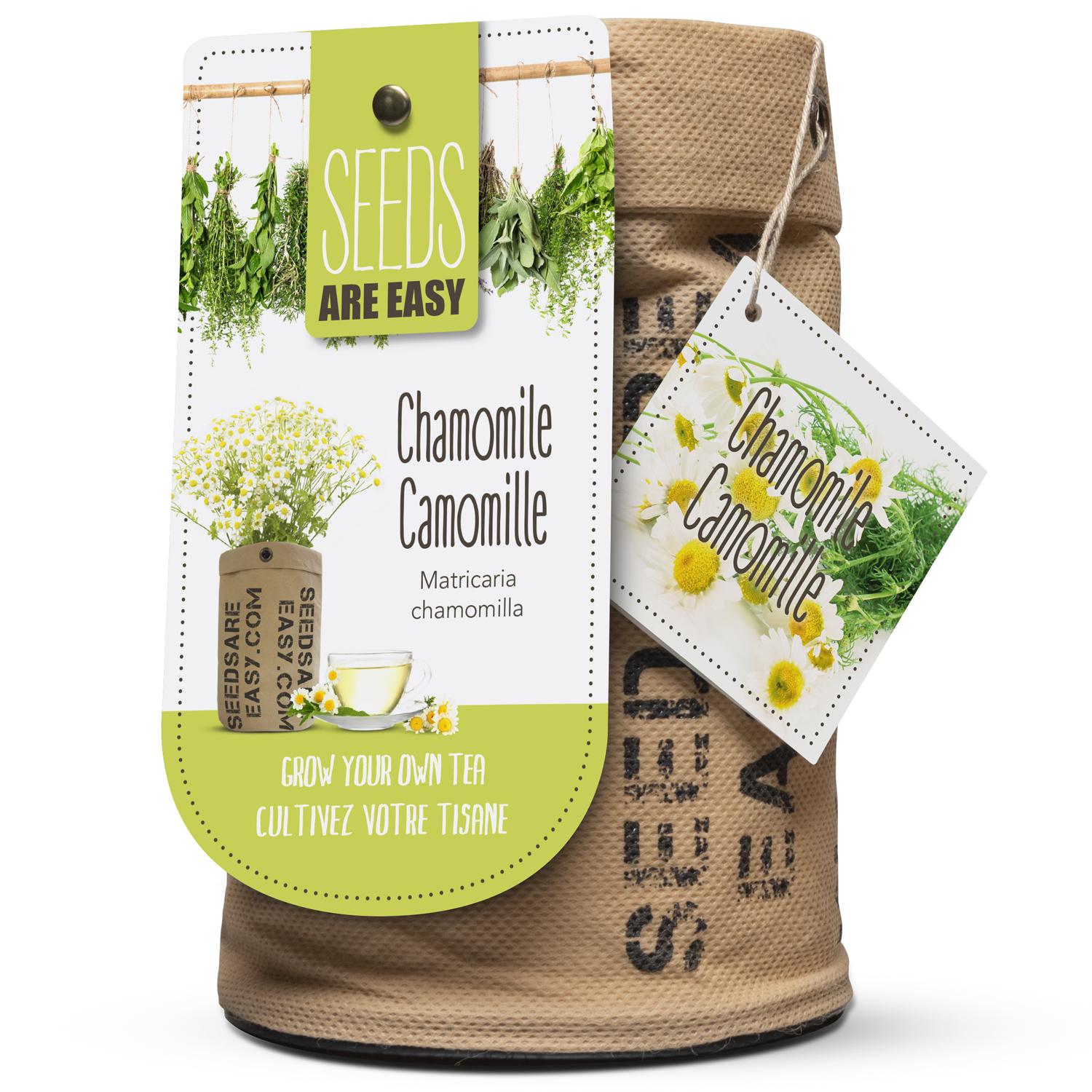 EZ Chamomile Seeds