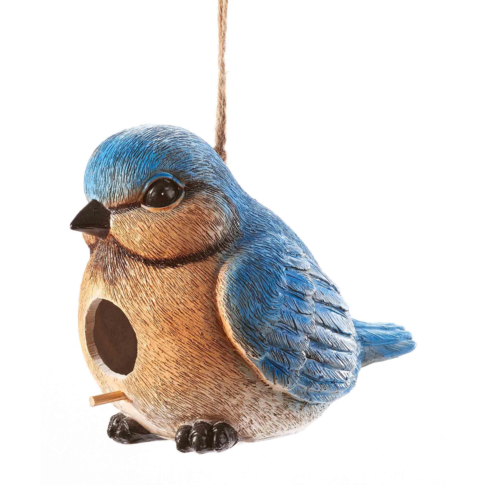 Cabane à oiseaux Merle-bleu