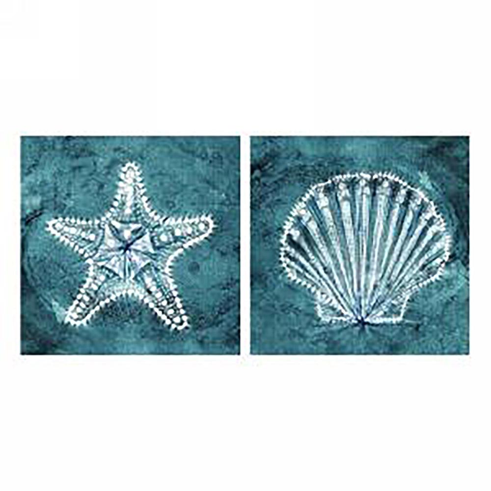Starfish & Shell
