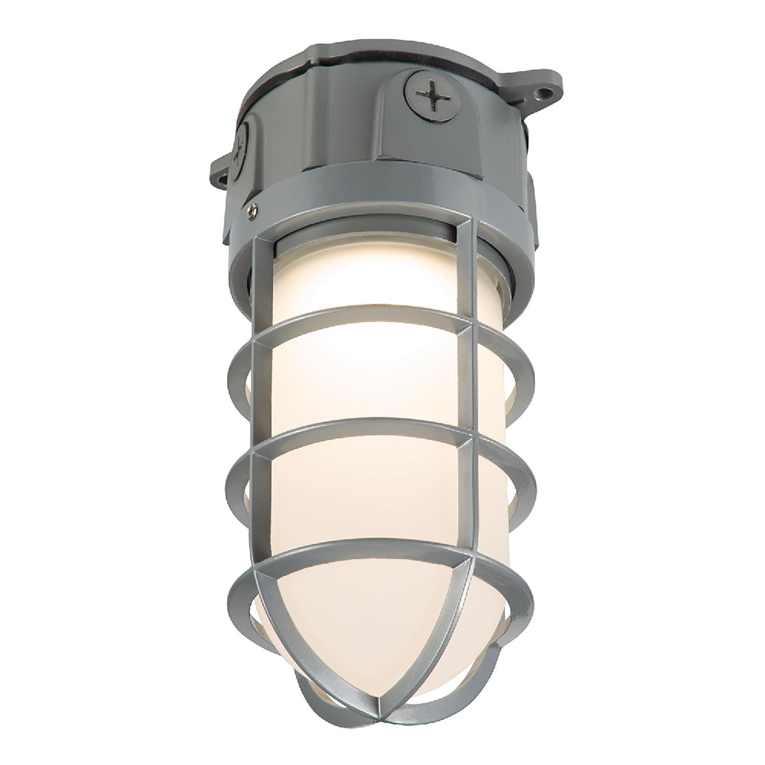 Lumière cage à DEL HALO étanche aux vapeurs 1 500 K