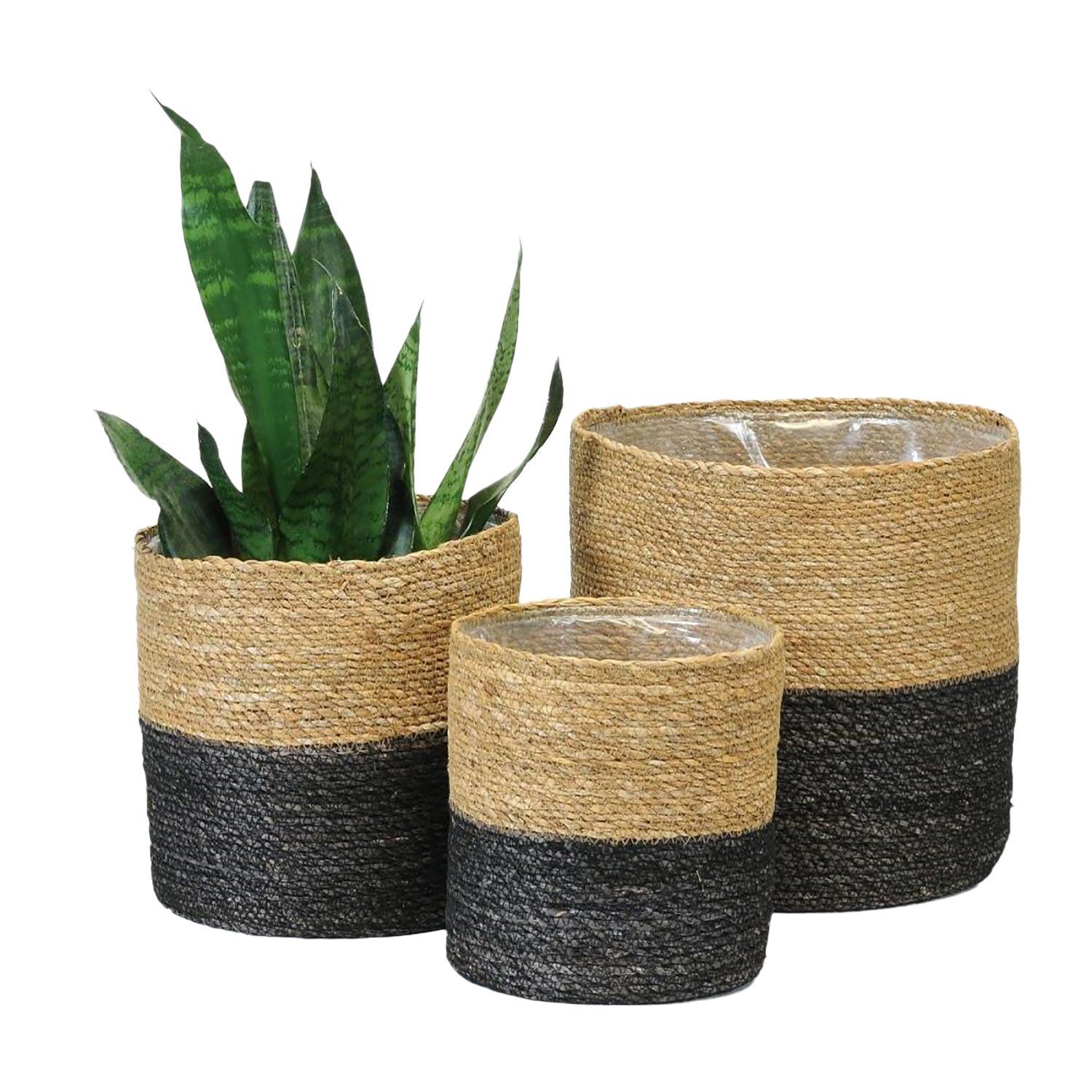 Panier pour plante, noir et naturel, 11,5 po