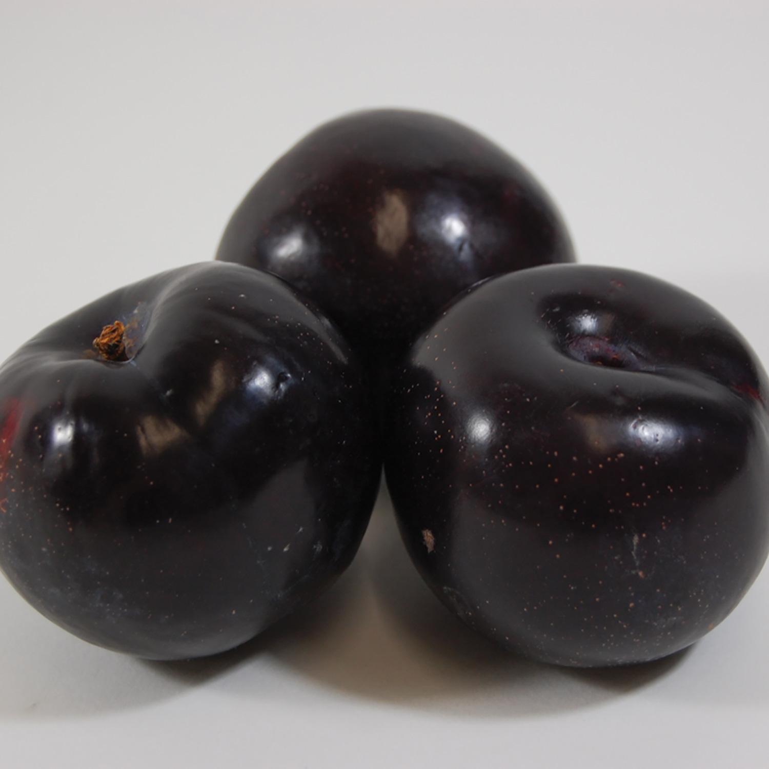 Stanley Plum 7G