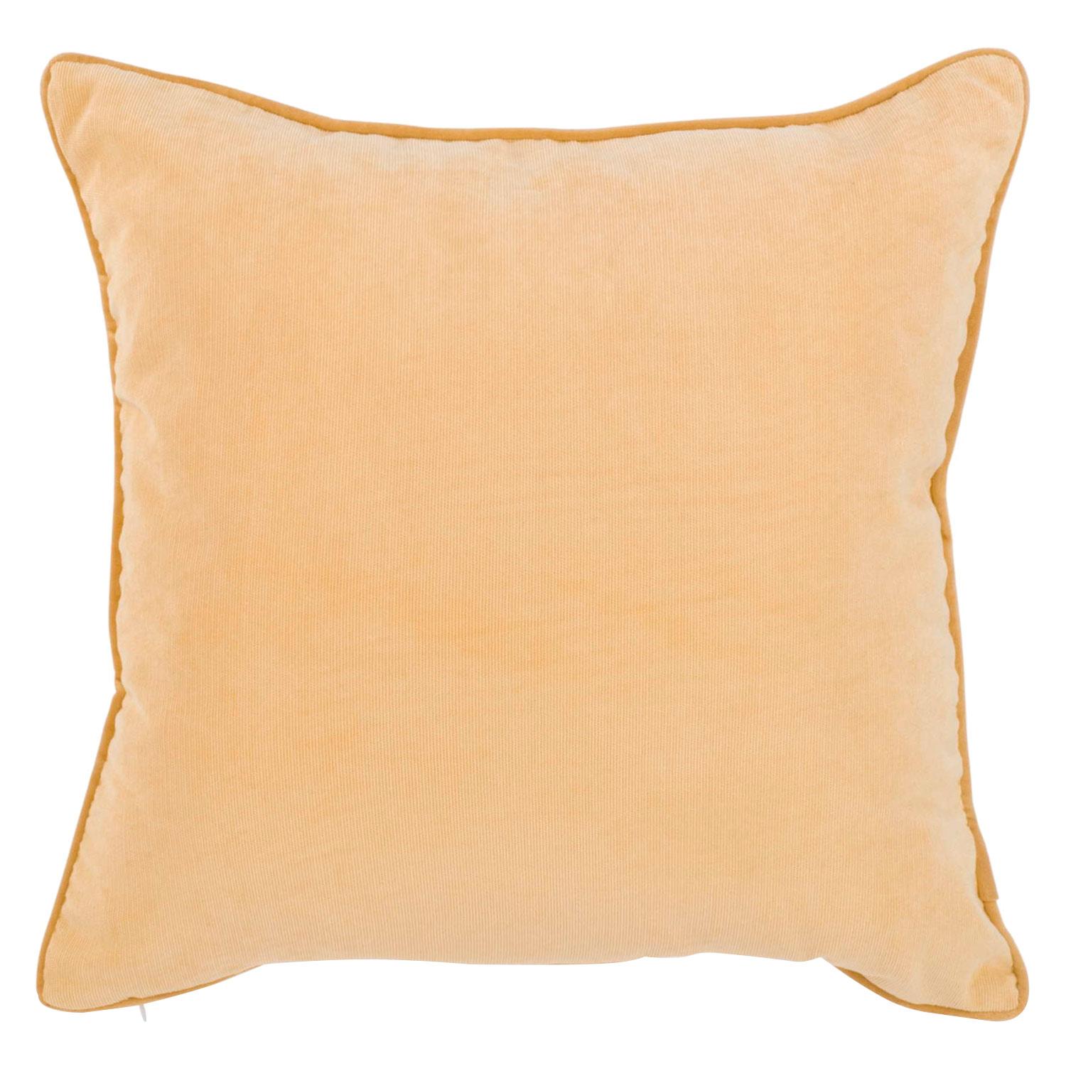 17" x 17" Cushion With Velvet Trim